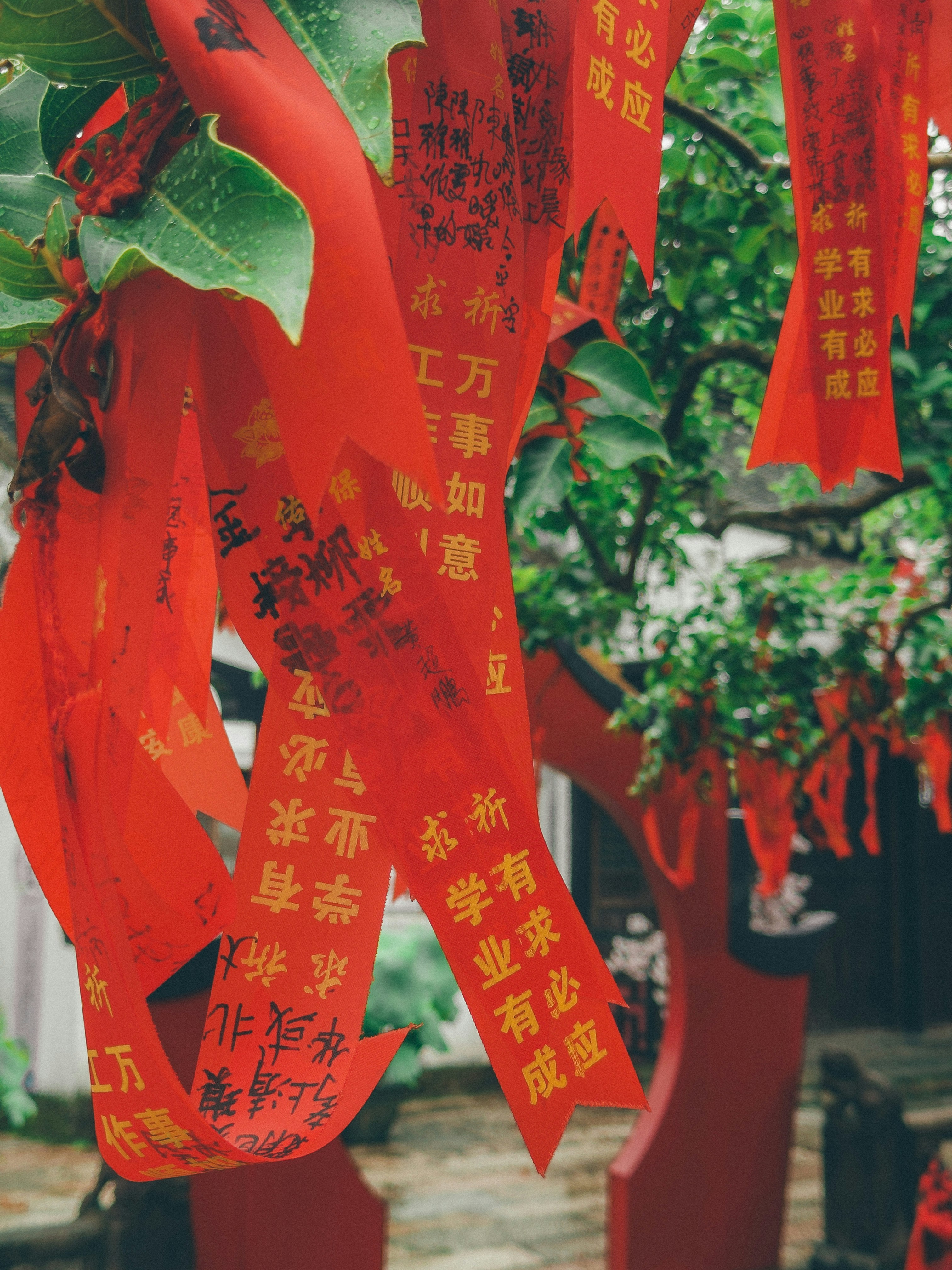 Photo by wangbinghua