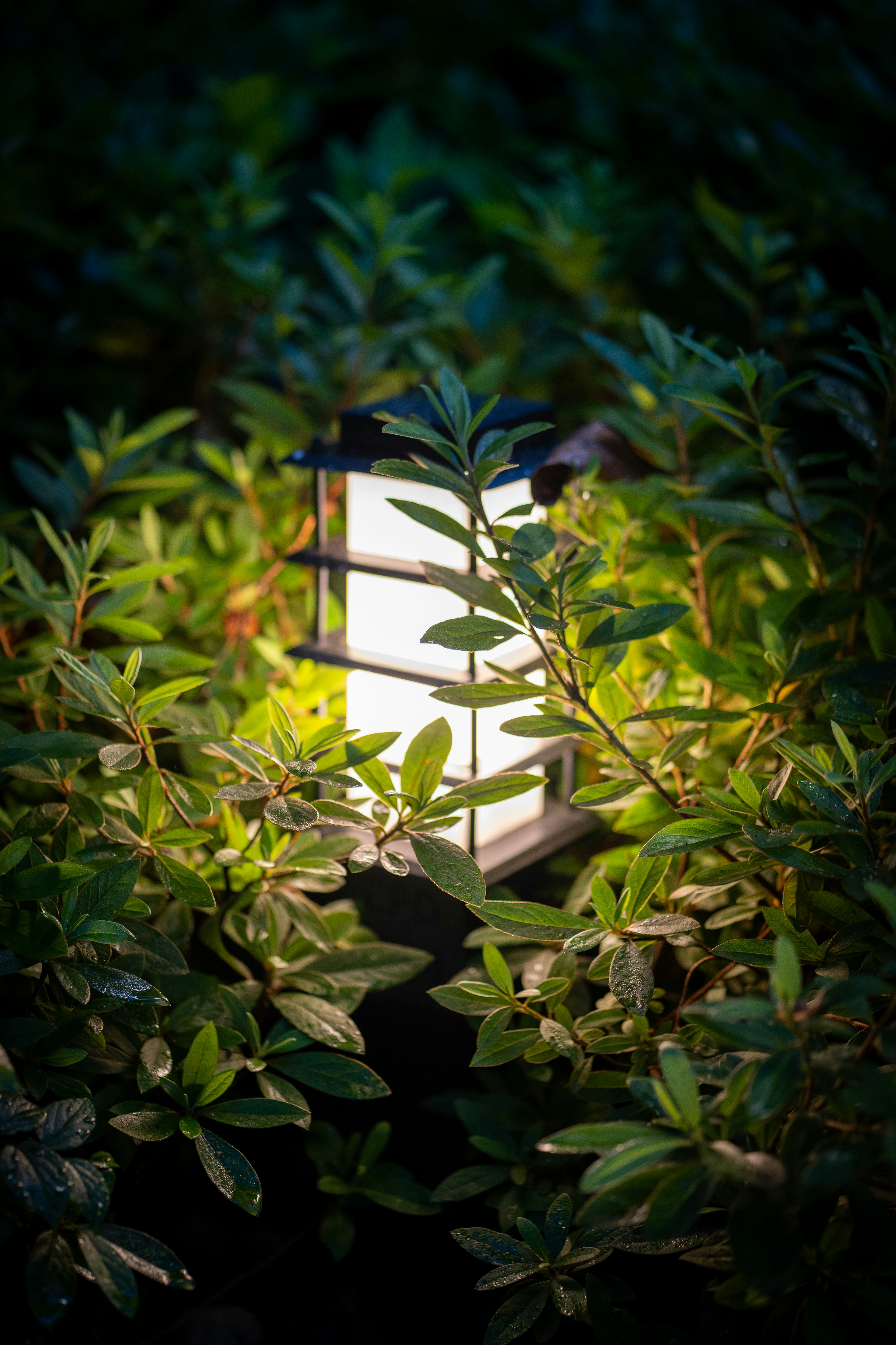 Crockett Solar Lantern
