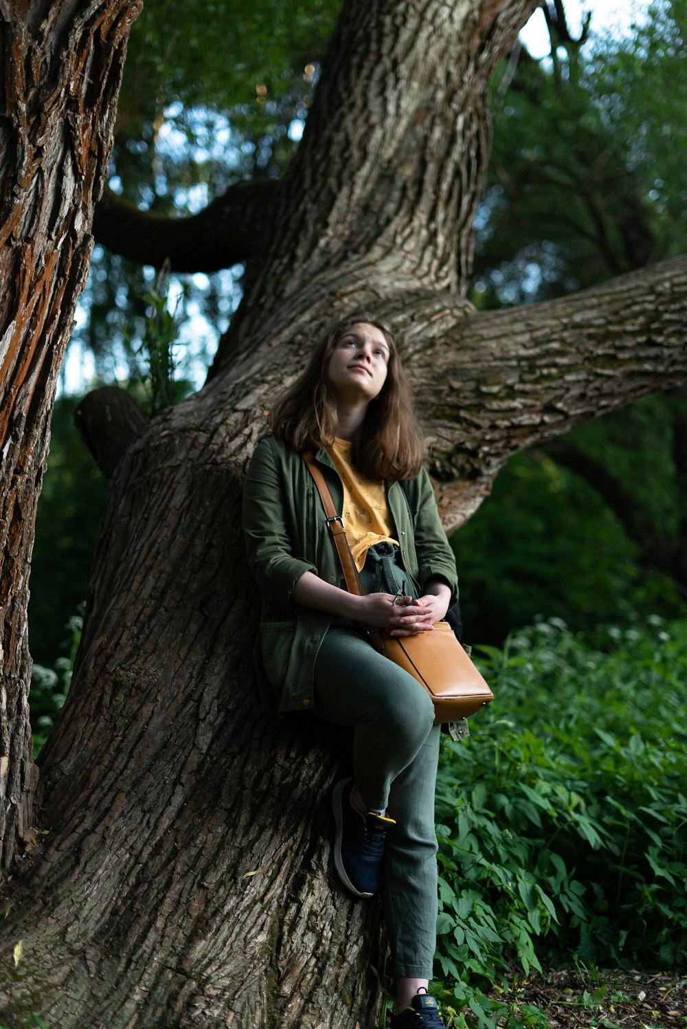a woman sitting on a tree holding a book