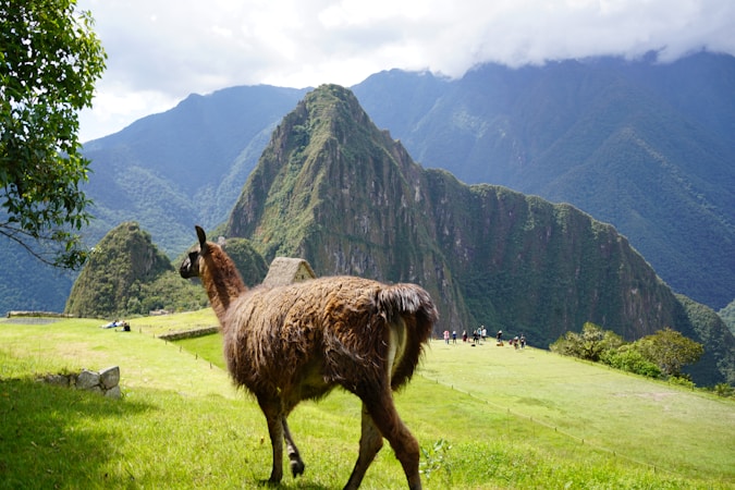 Descubre Quillabamba: La Ciudad del Eterno Verano