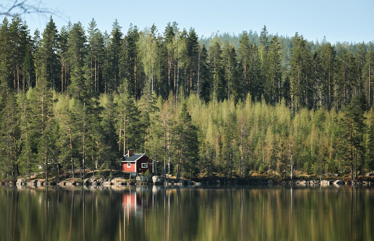A small red cabin under spruce and birch on the shore of a lake in Dalarna