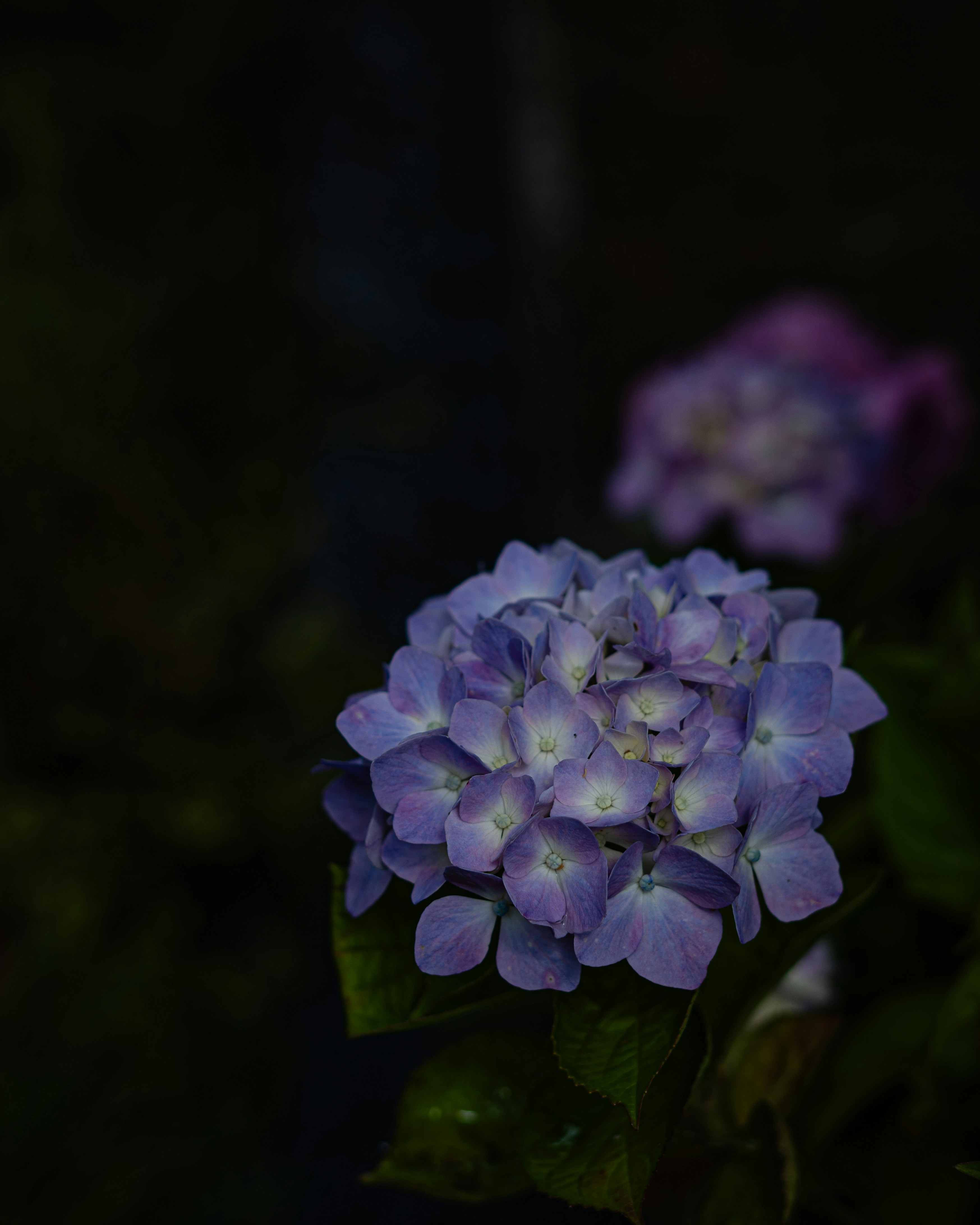 Photo by miyuki_oikawa