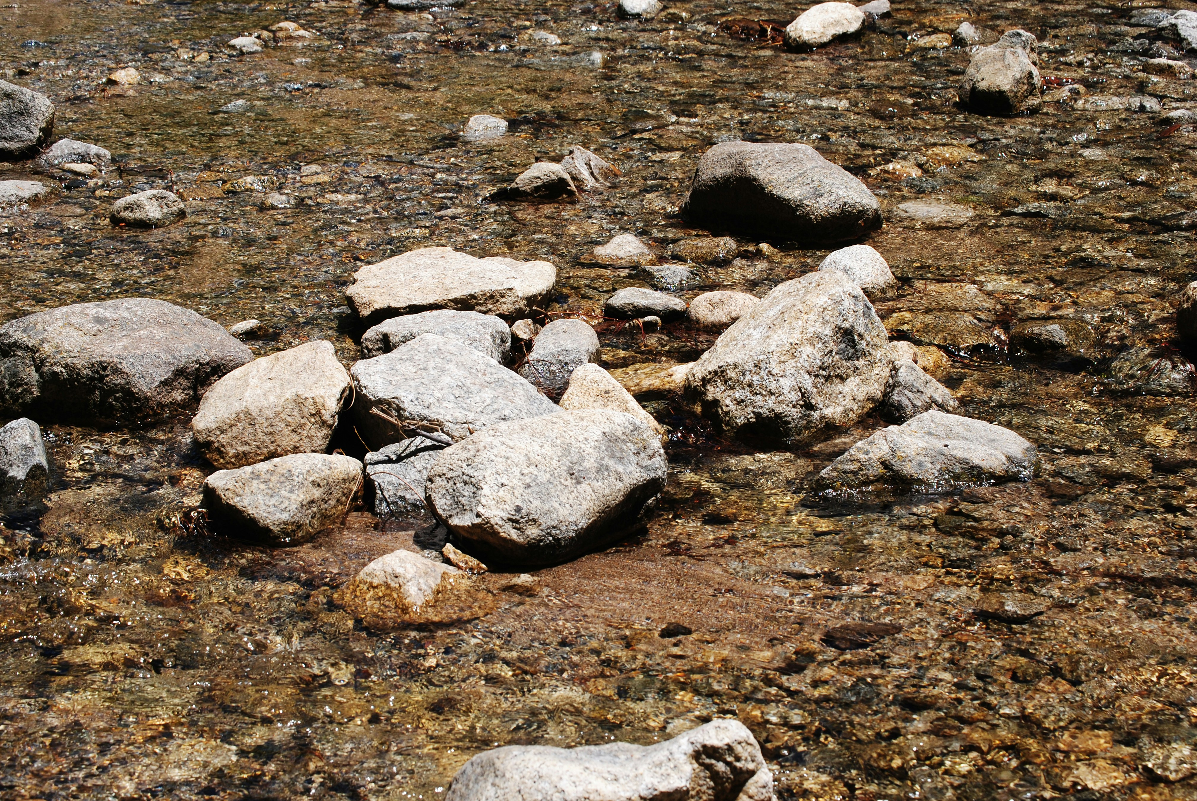 Photo by art_by_rebecca