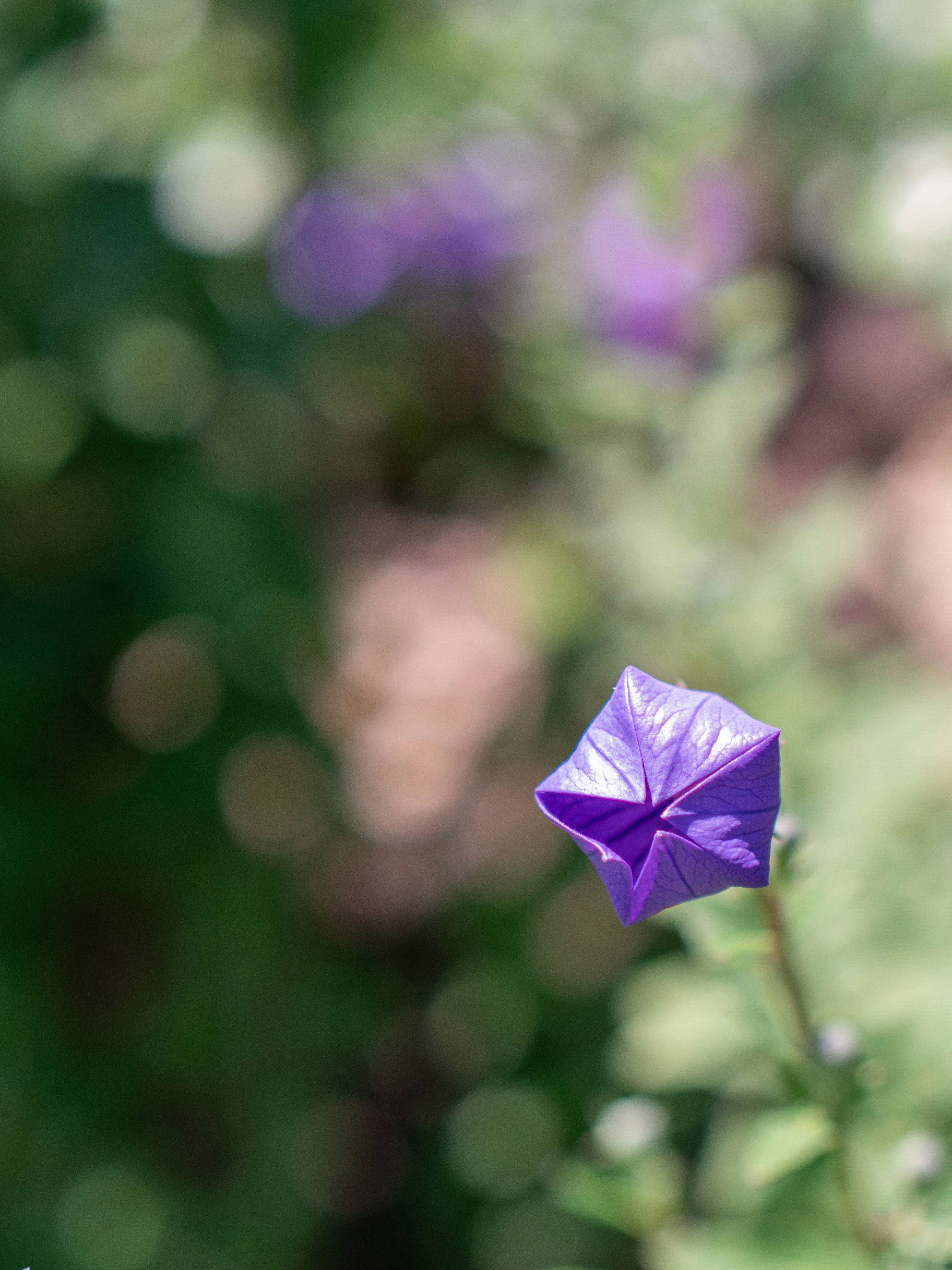 Photo by shellingfordyu