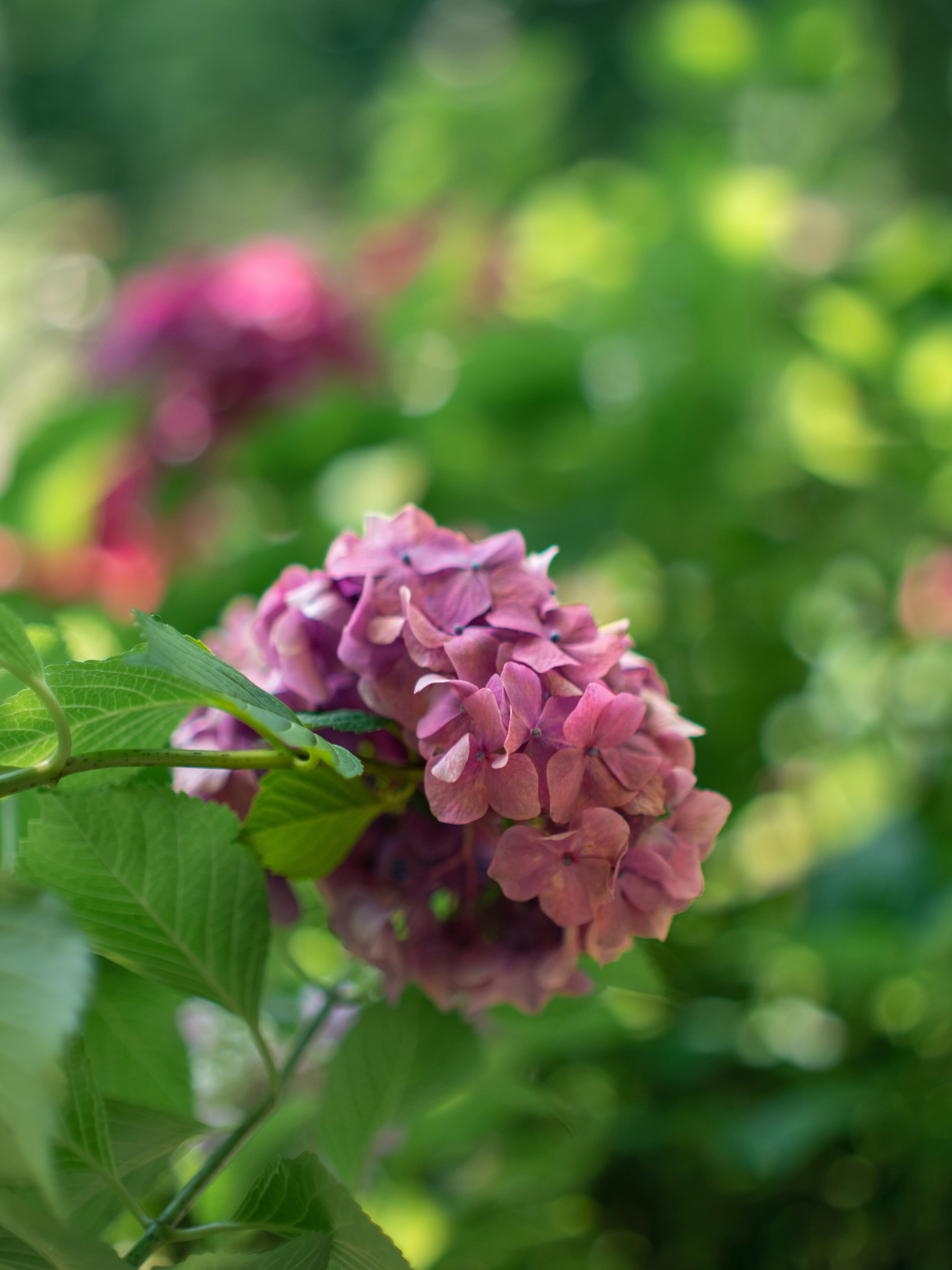 Photo by shellingfordyu