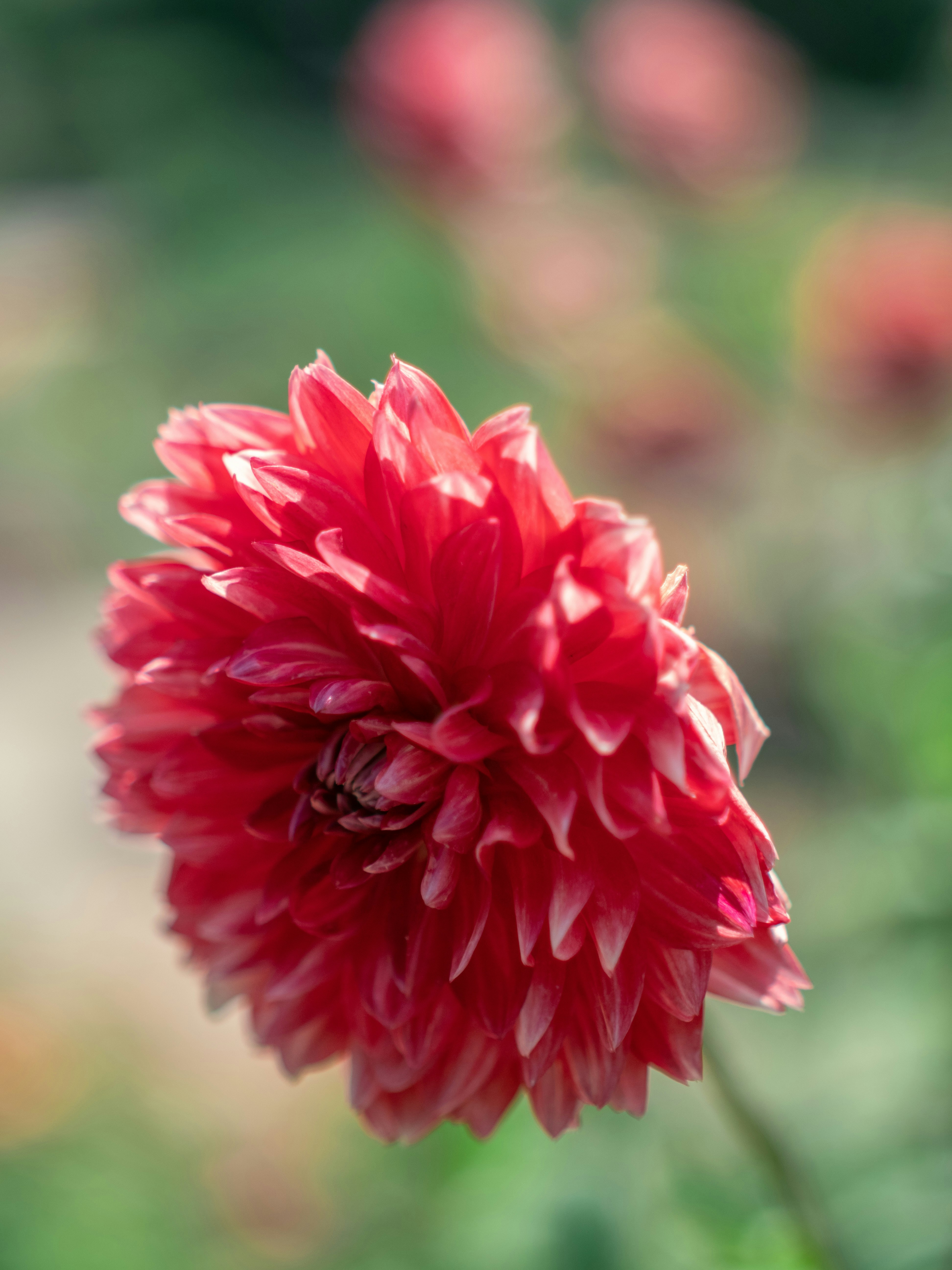 Photo by shellingfordyu