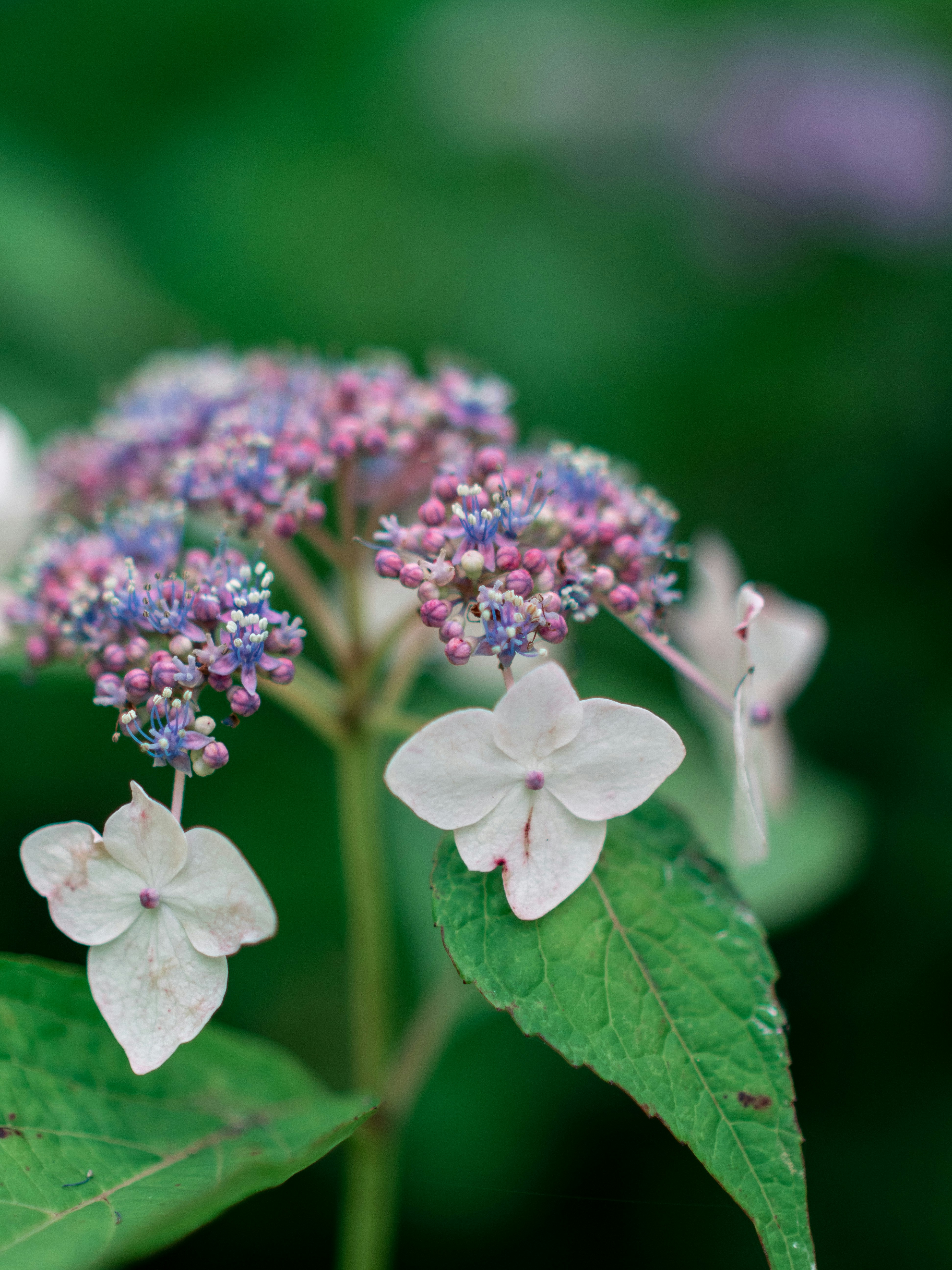 Photo by shellingfordyu