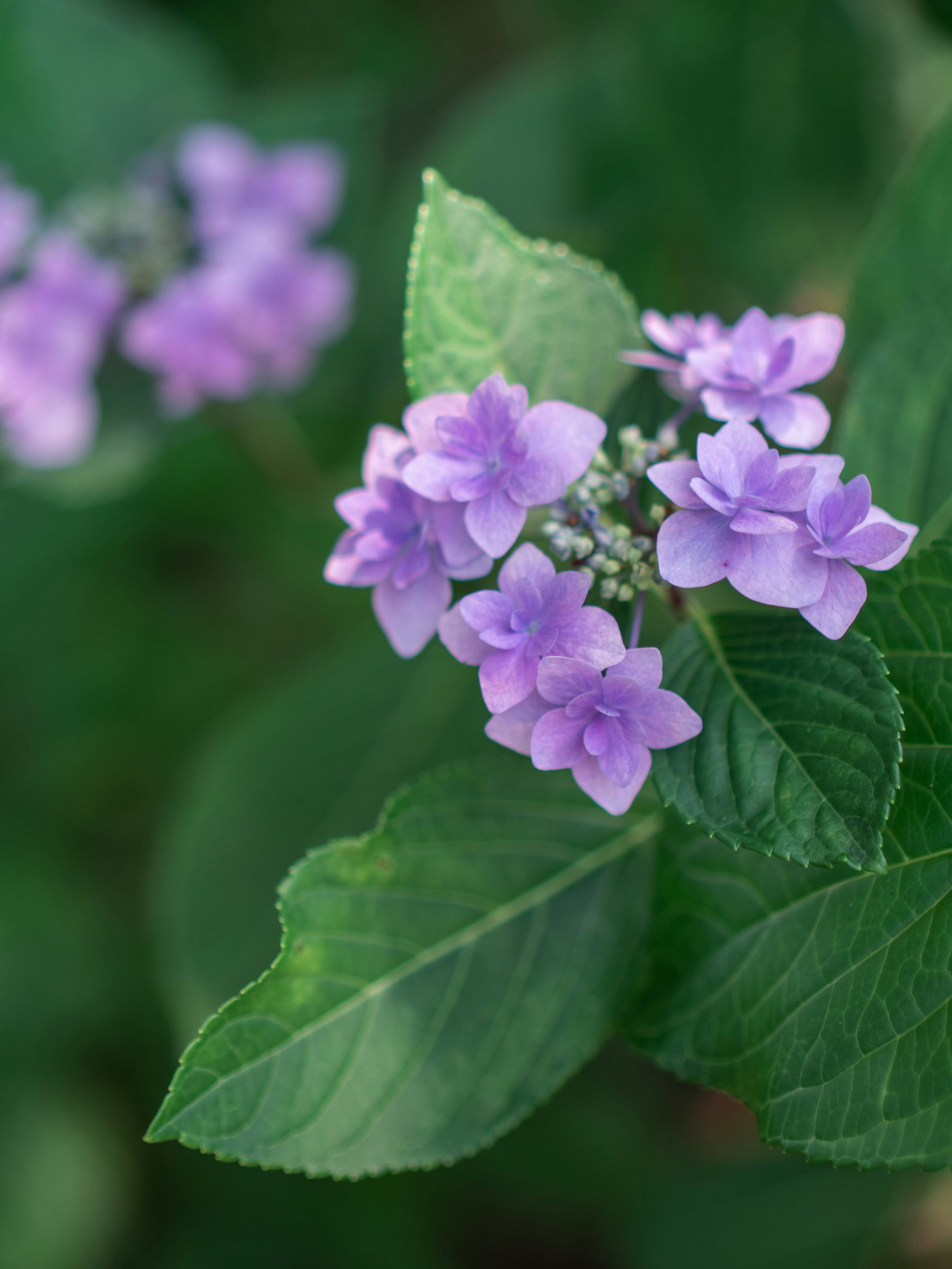 Photo by shellingfordyu