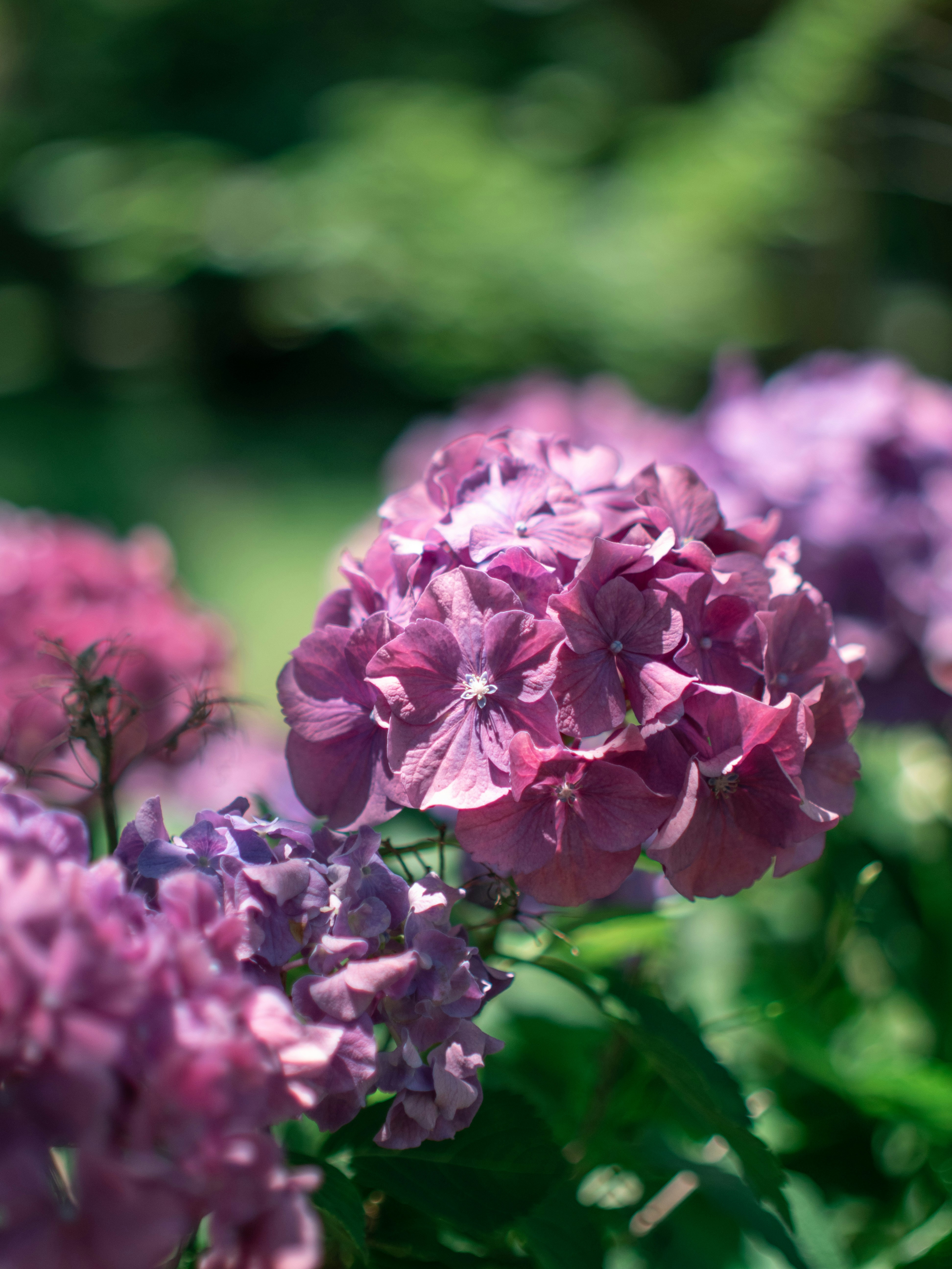 Photo by shellingfordyu