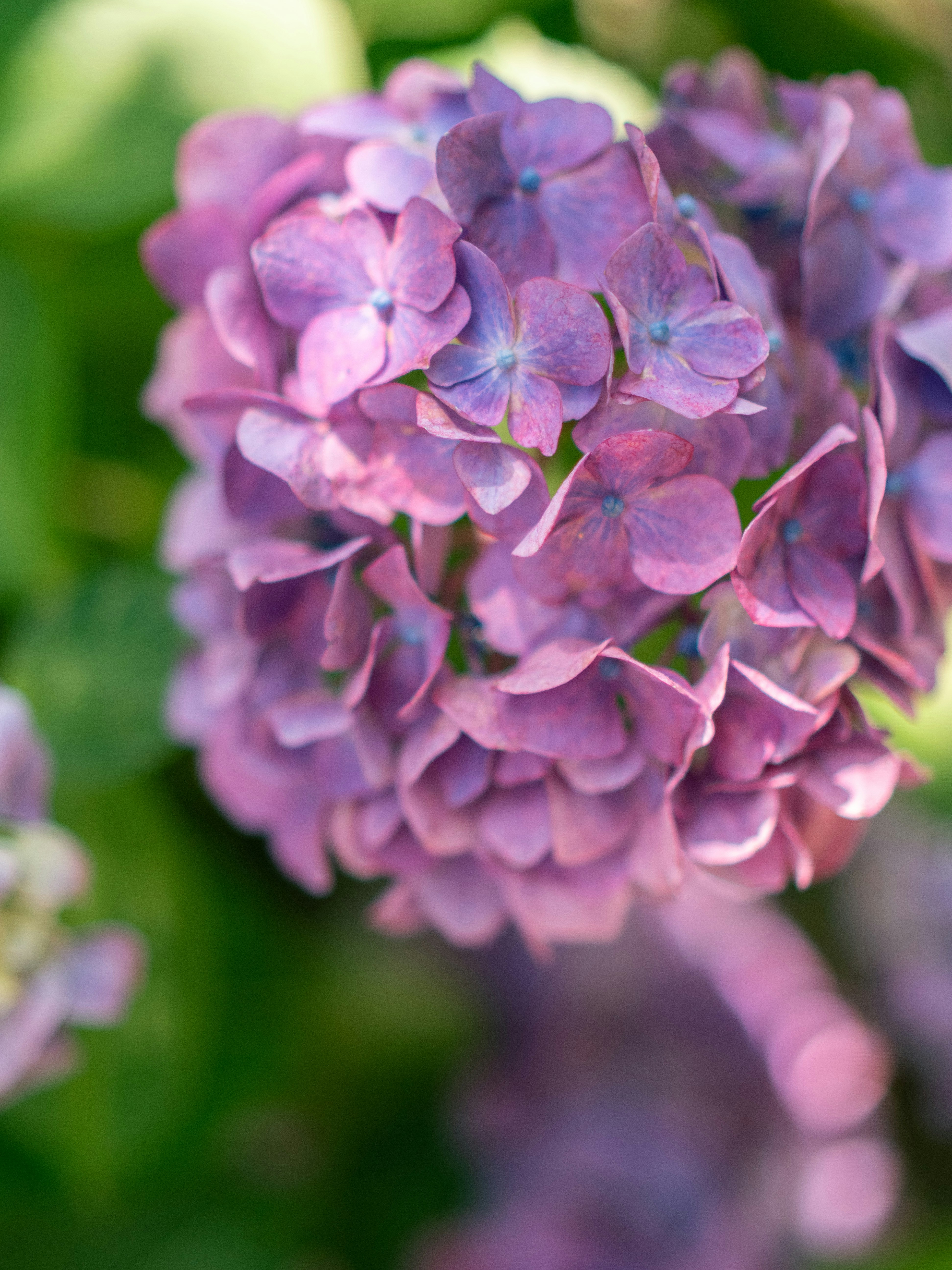 Photo by shellingfordyu