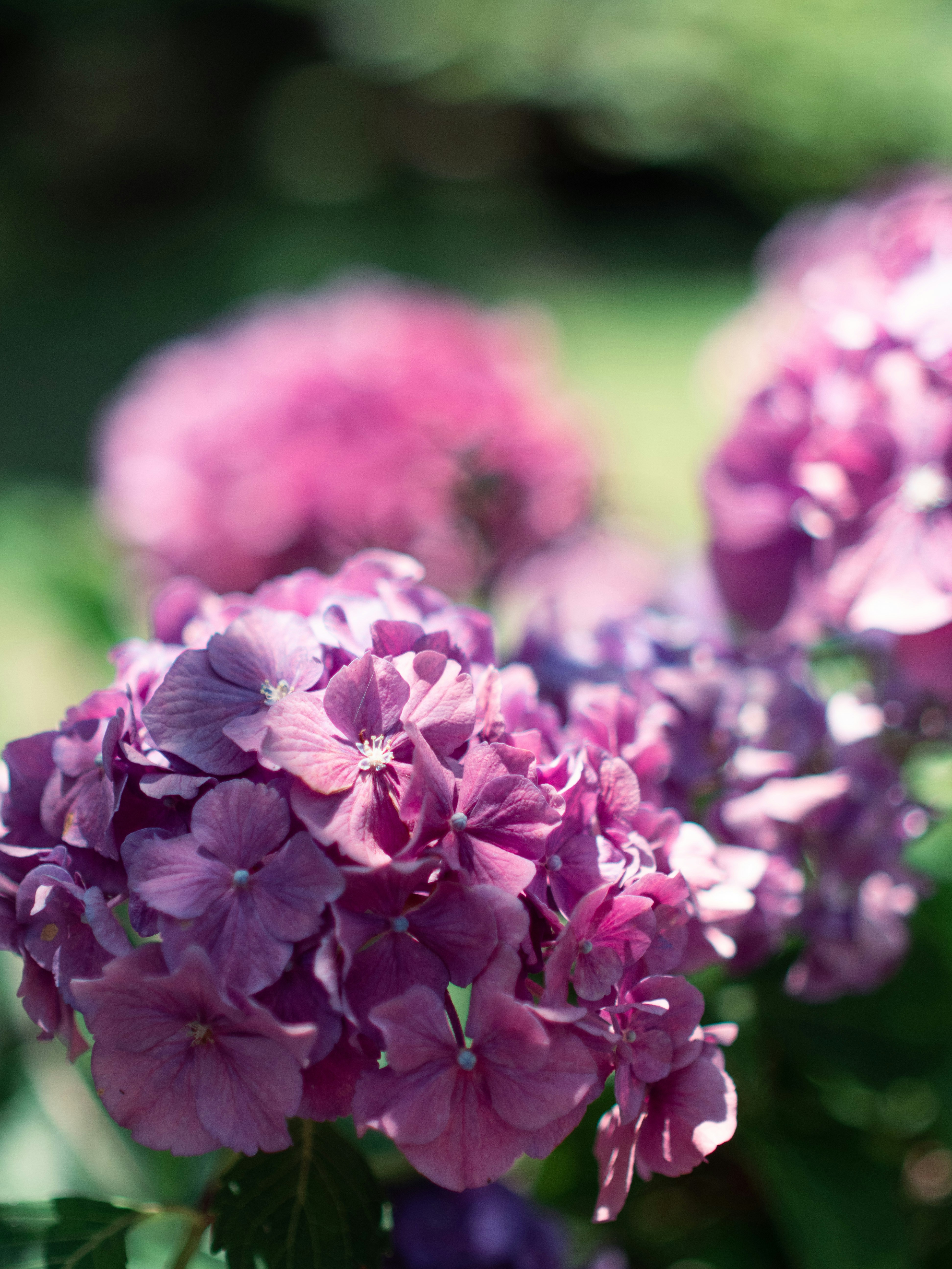 Photo by shellingfordyu