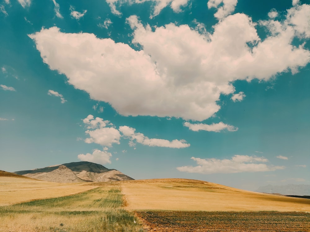 a dirt road going through a field under a cloudy sky