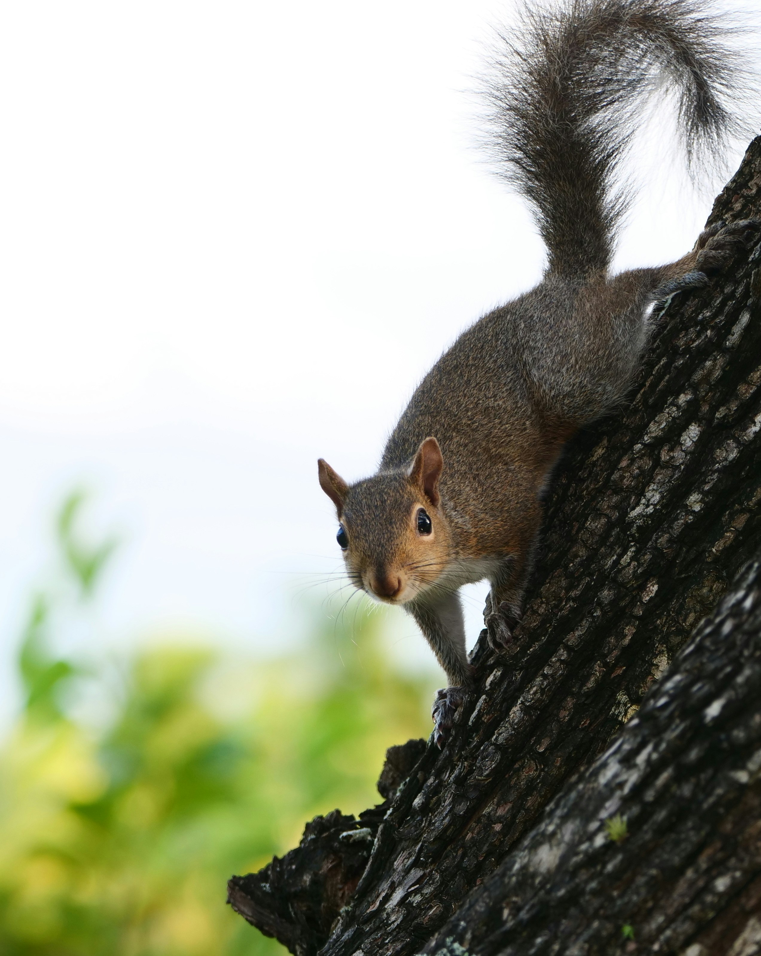 Photo by edoardopoffo