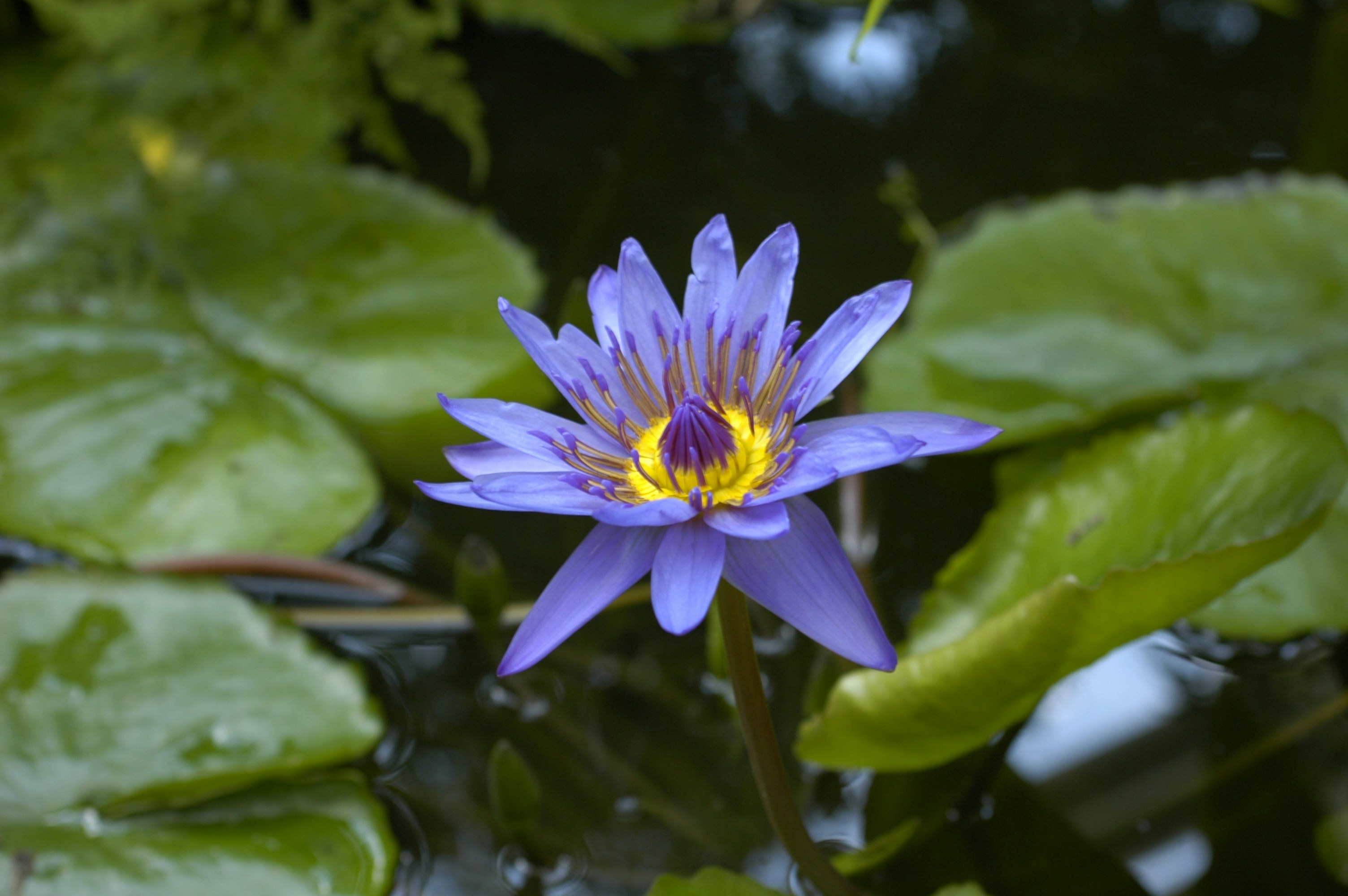 Photo by edoardopoffo