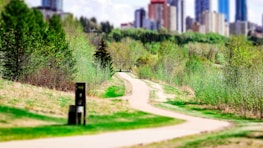 A winding path through a futuristic cityscape symbolizing growth and forward movement.