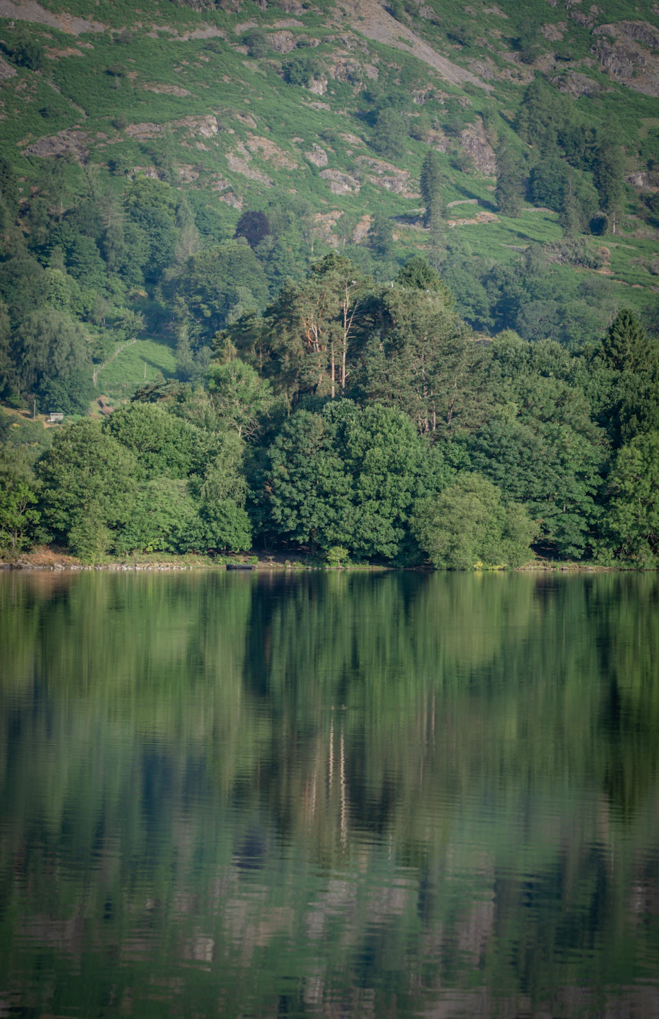 Serene lake surrounded by lush green trees and rolling hills in calm reflection