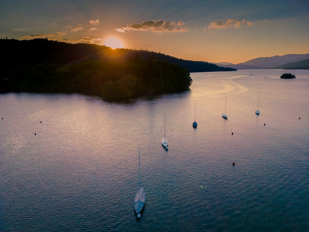 a group of boats floating on top of a body of water