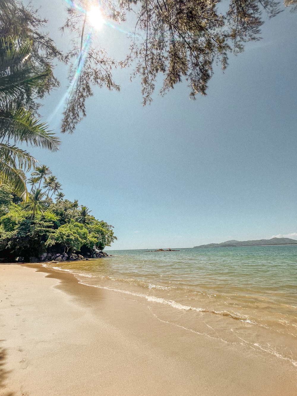 a sandy beach next to the ocean under a tree