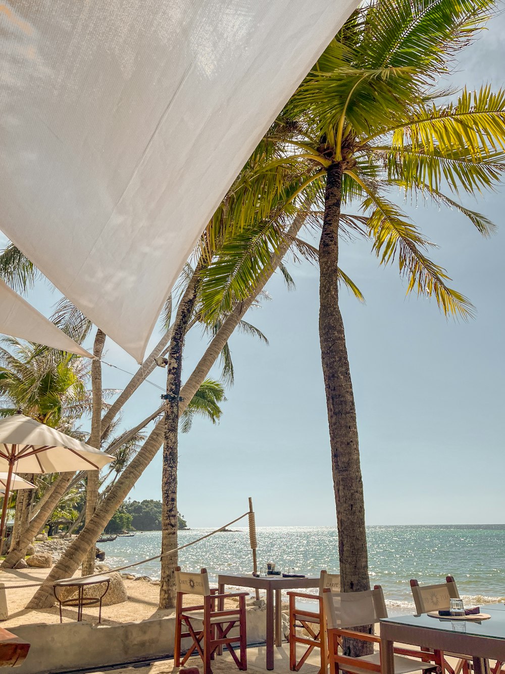 a view of a beach with a hammock and palm trees