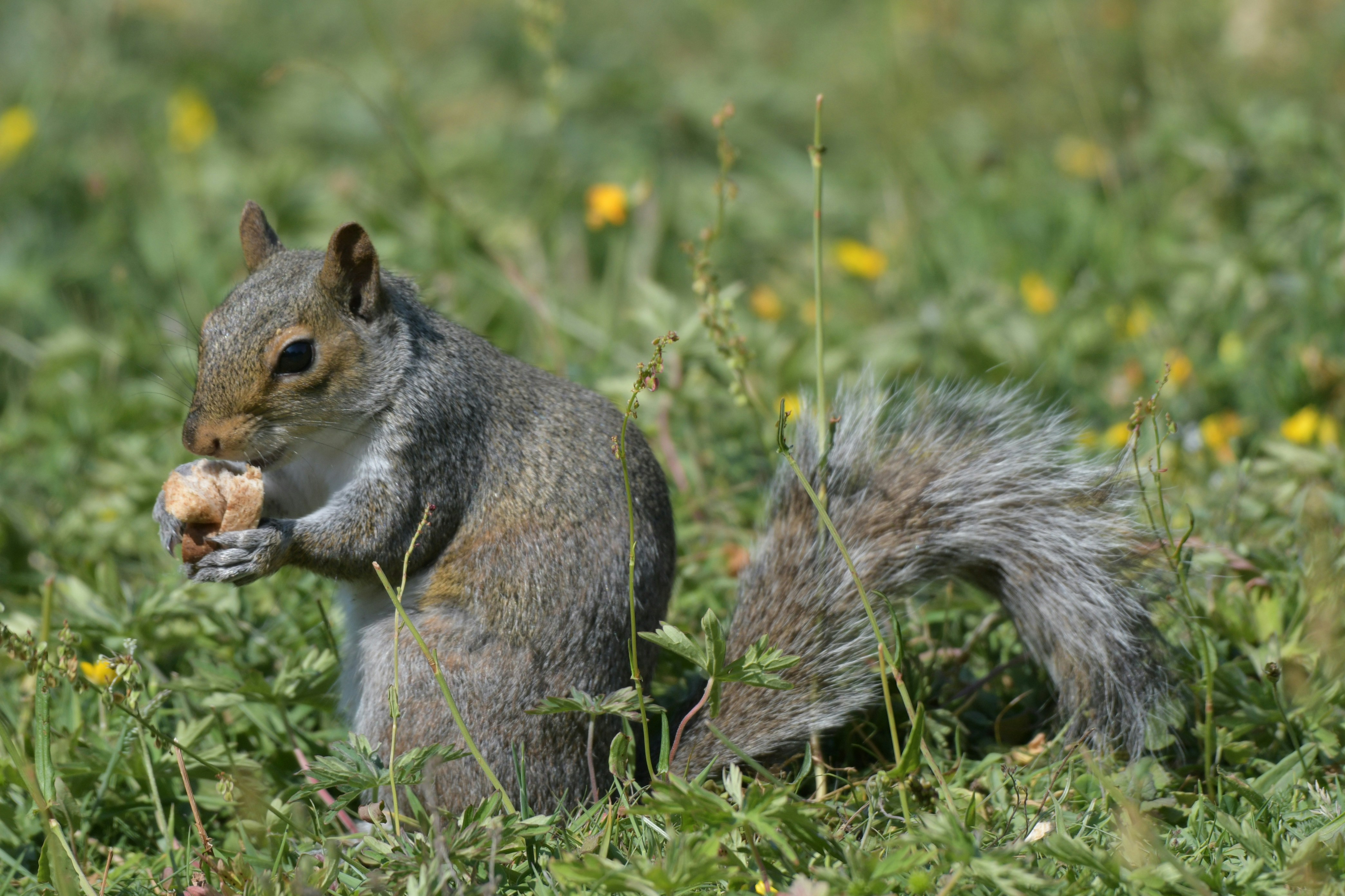 Photo by wrishi2004m