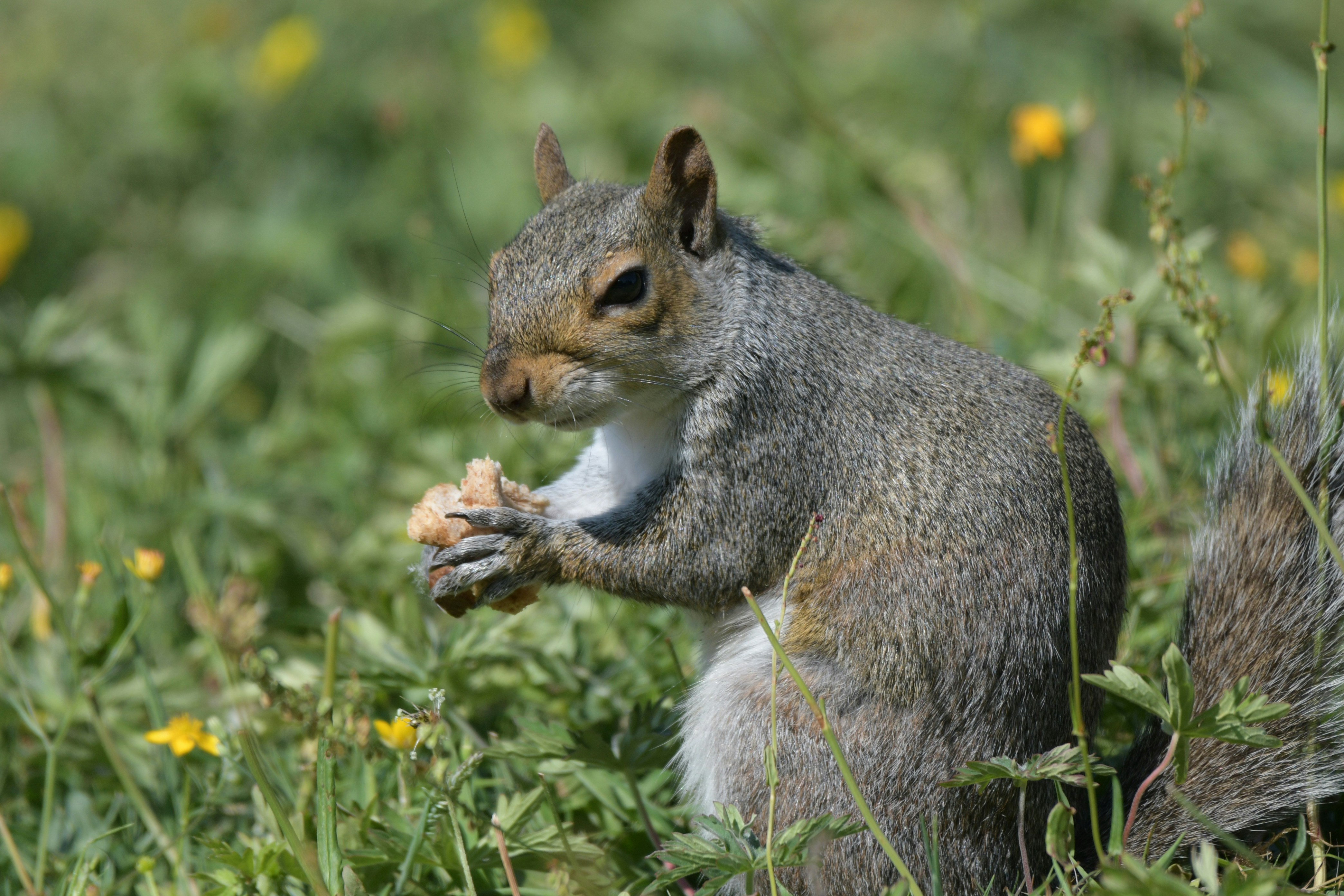 Photo by wrishi2004m