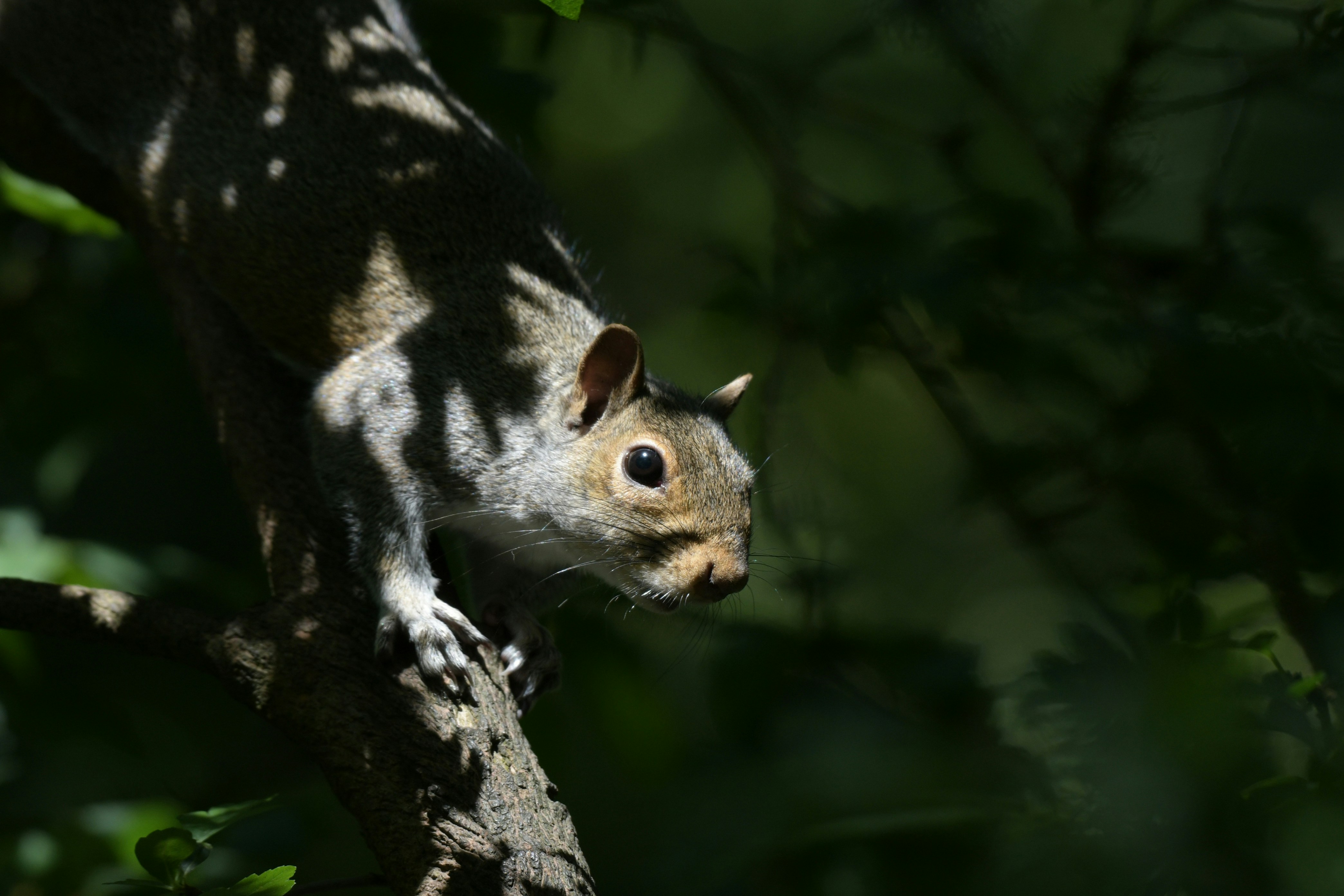 Photo by wrishi2004m