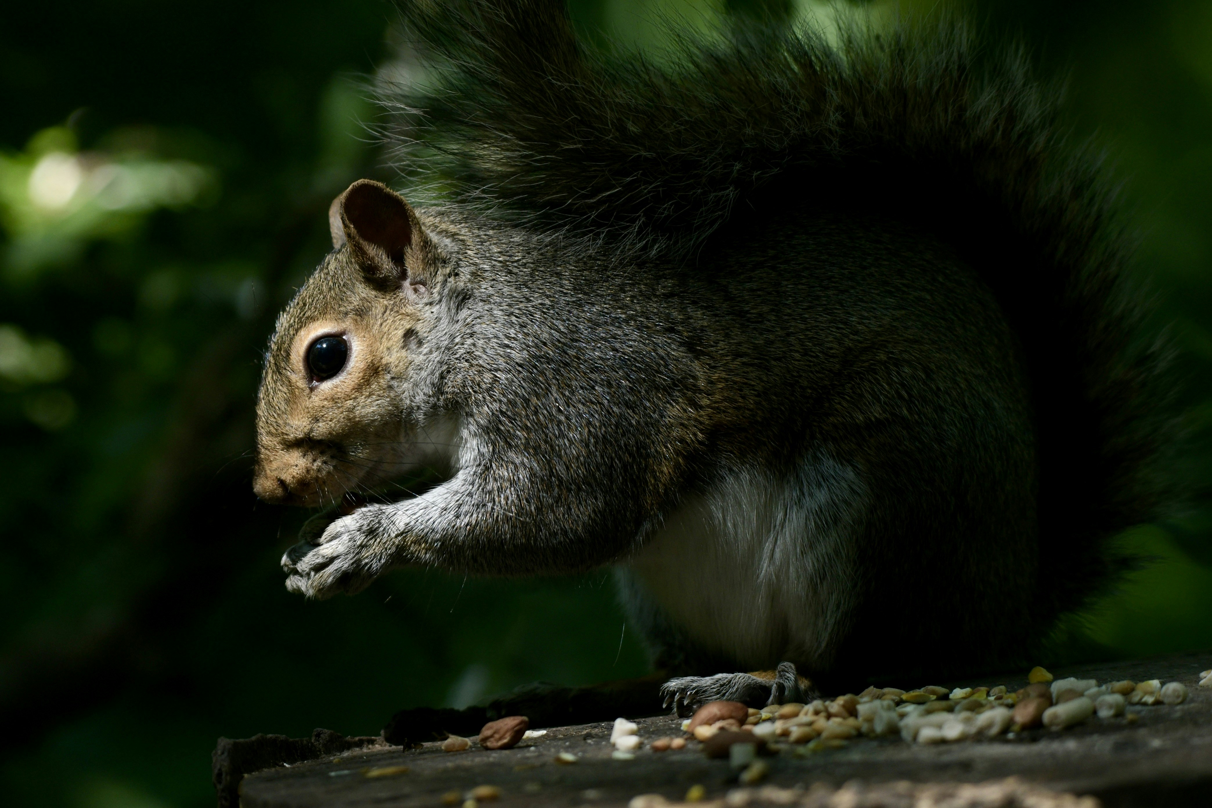 Photo by wrishi2004m