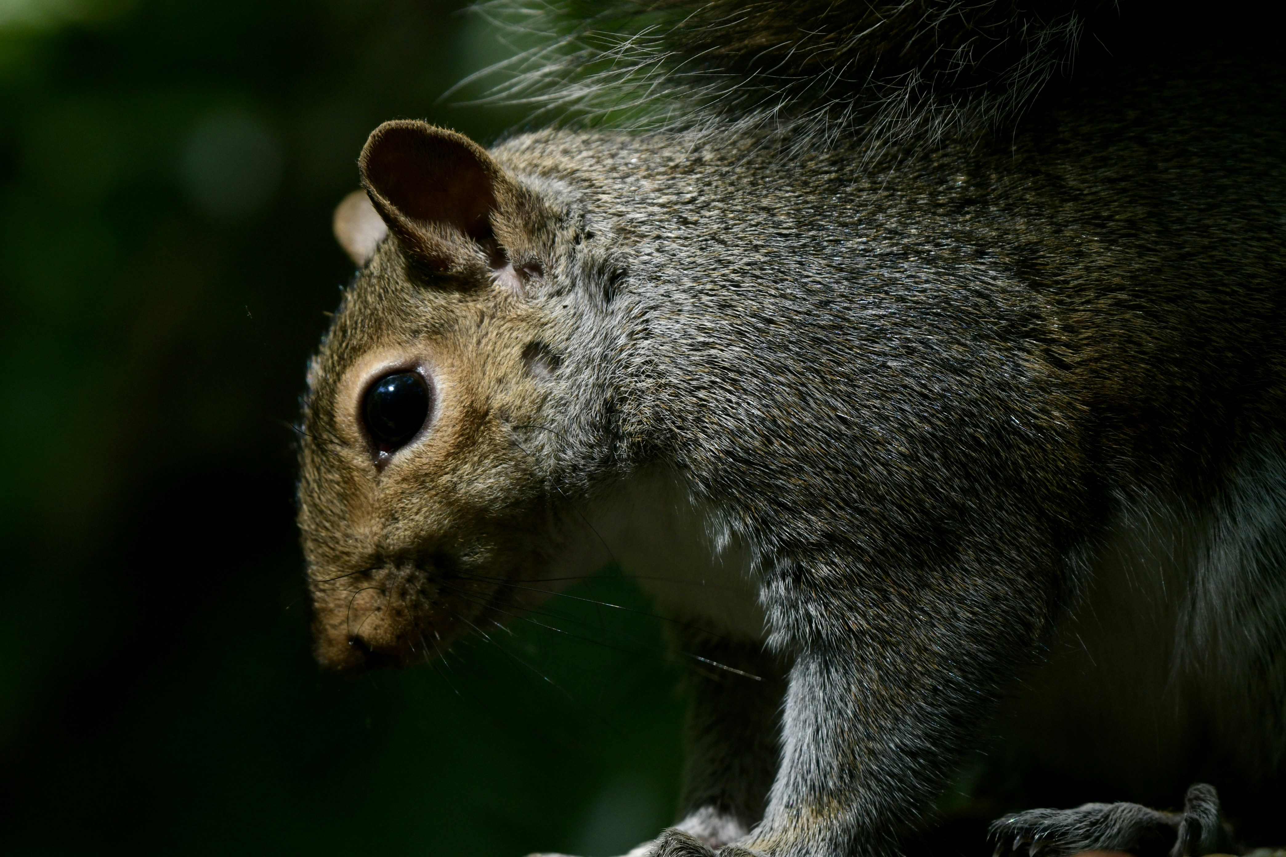 Photo by wrishi2004m