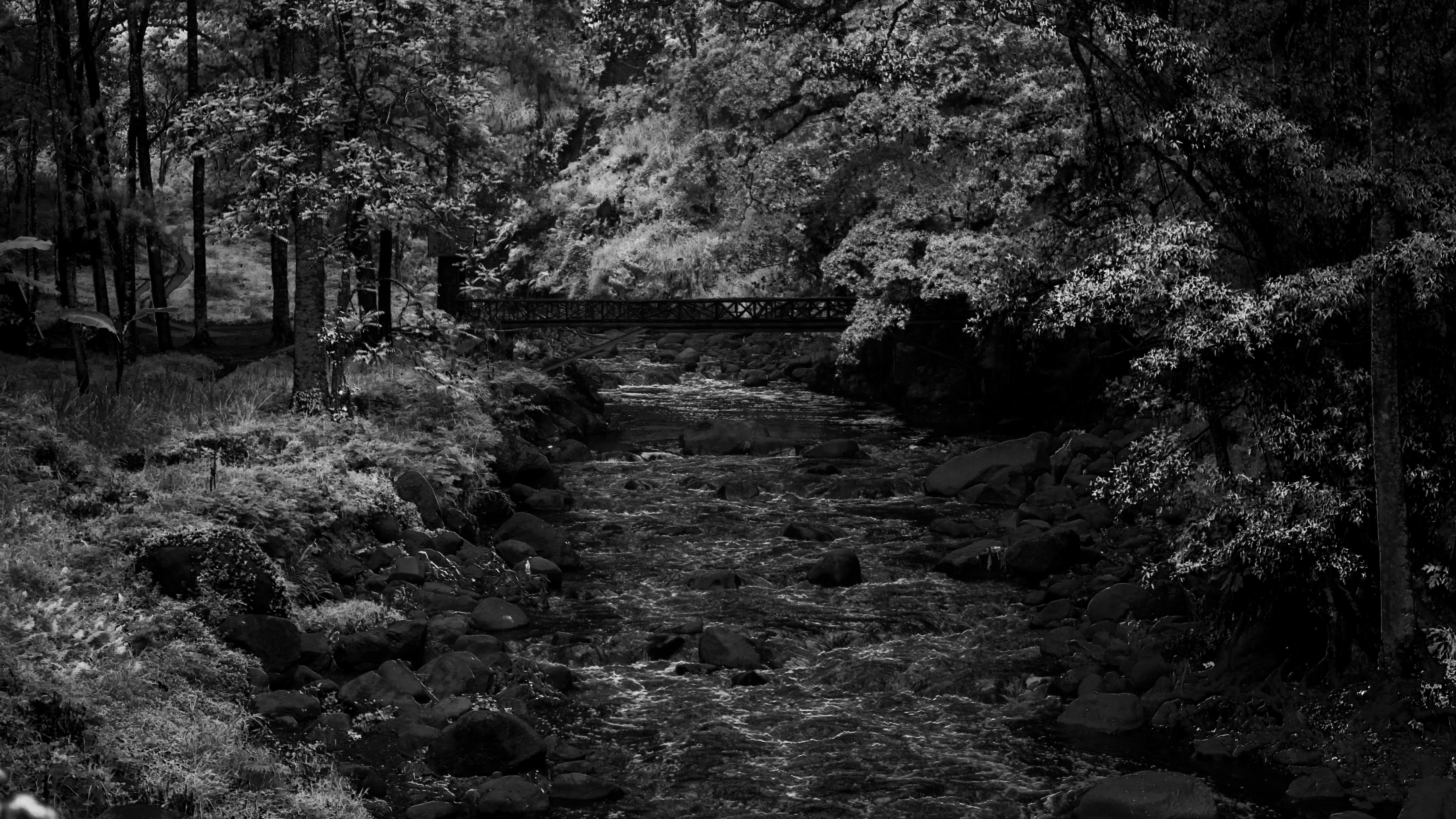 Photo by rakarahmadani