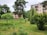 An urban green space with several types of trees and shrubs in a grassy field. In the background, a multi-story residential building with balconies stands amidst the greenery.