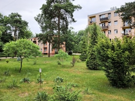 An urban green space with several types of trees and shrubs in a grassy field. In the background, a multi-story residential building with balconies stands amidst the greenery.