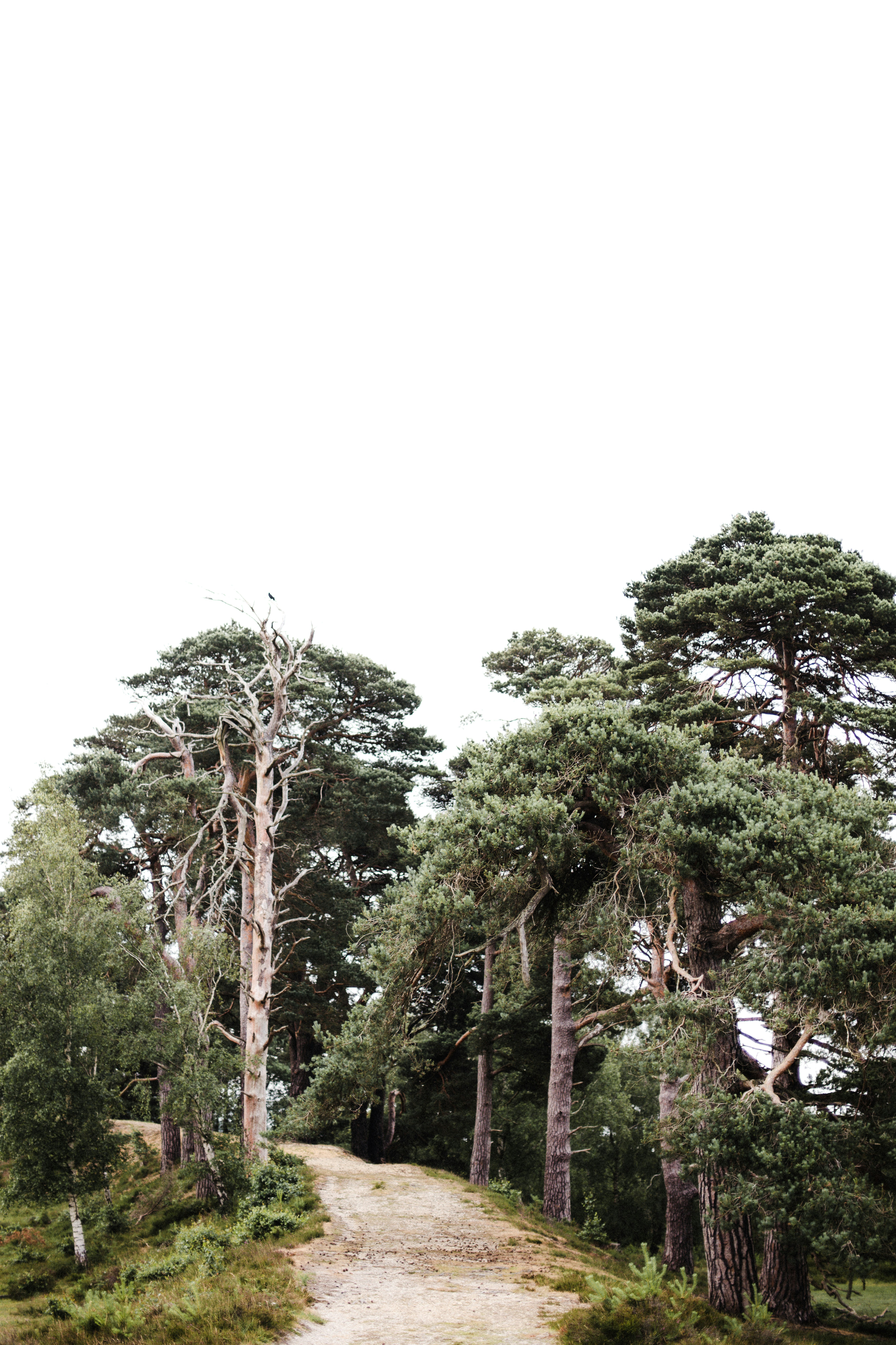 Photo by anniespratt