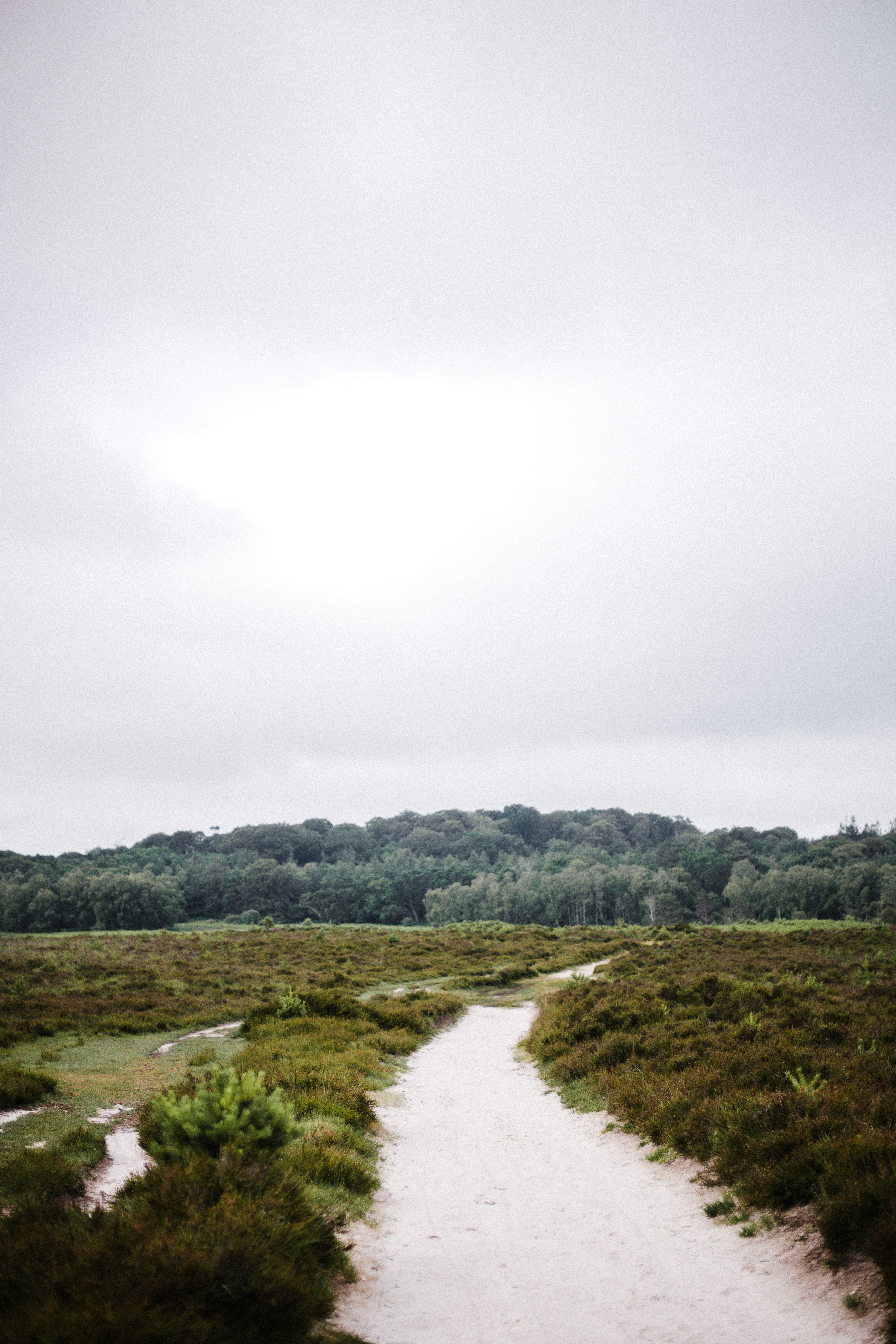 Photo by anniespratt