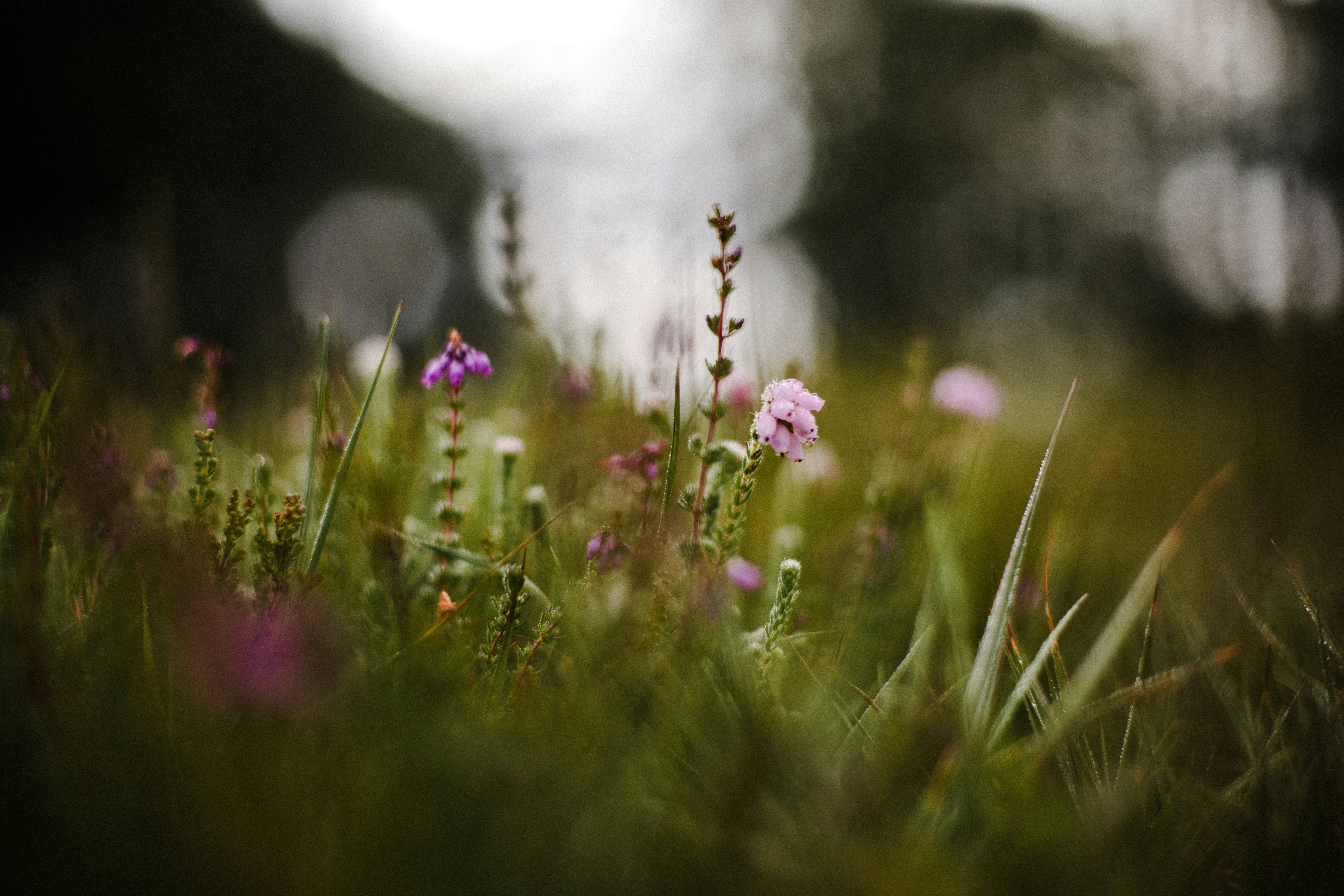 Photo by anniespratt