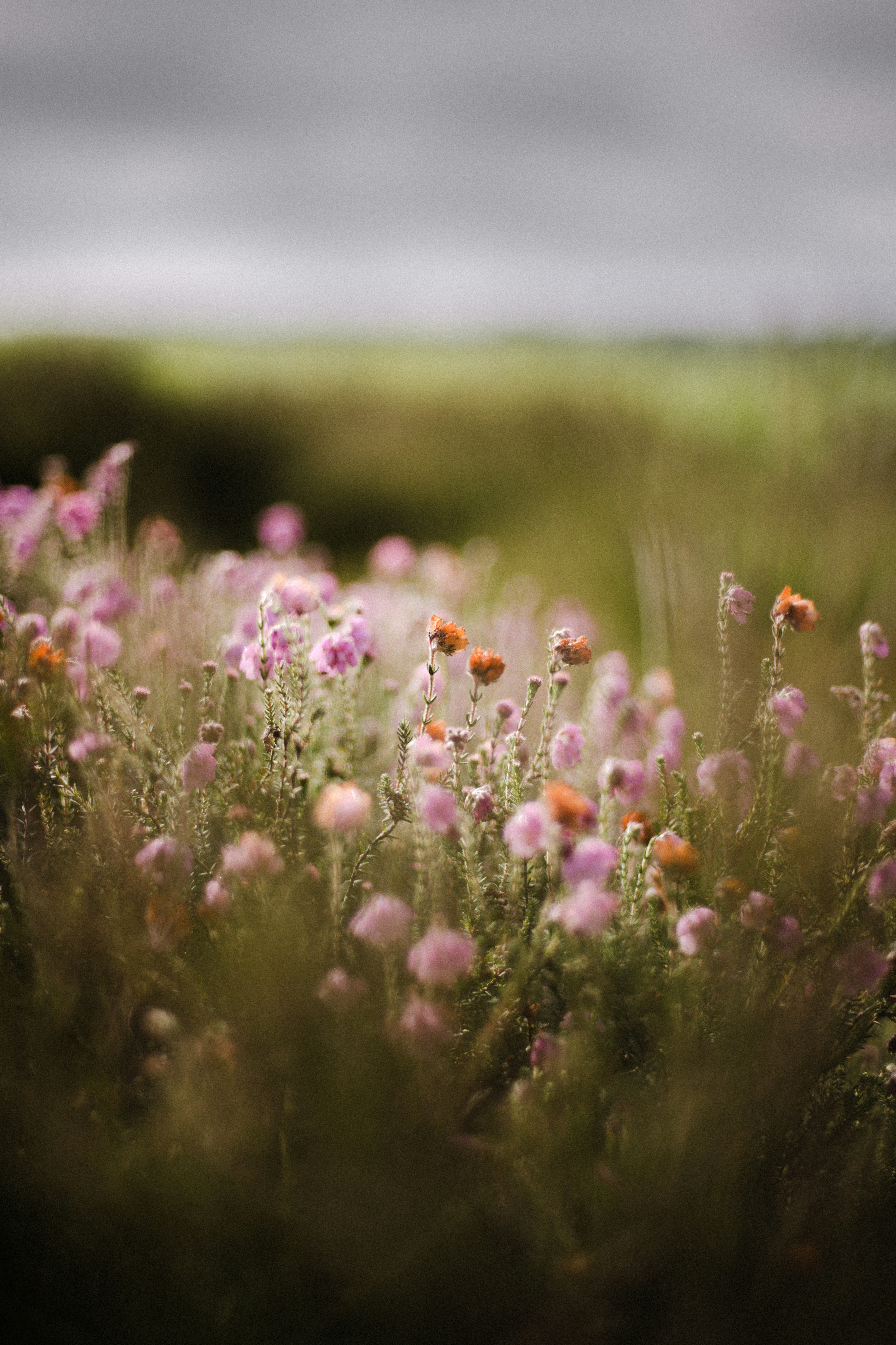 Photo by anniespratt
