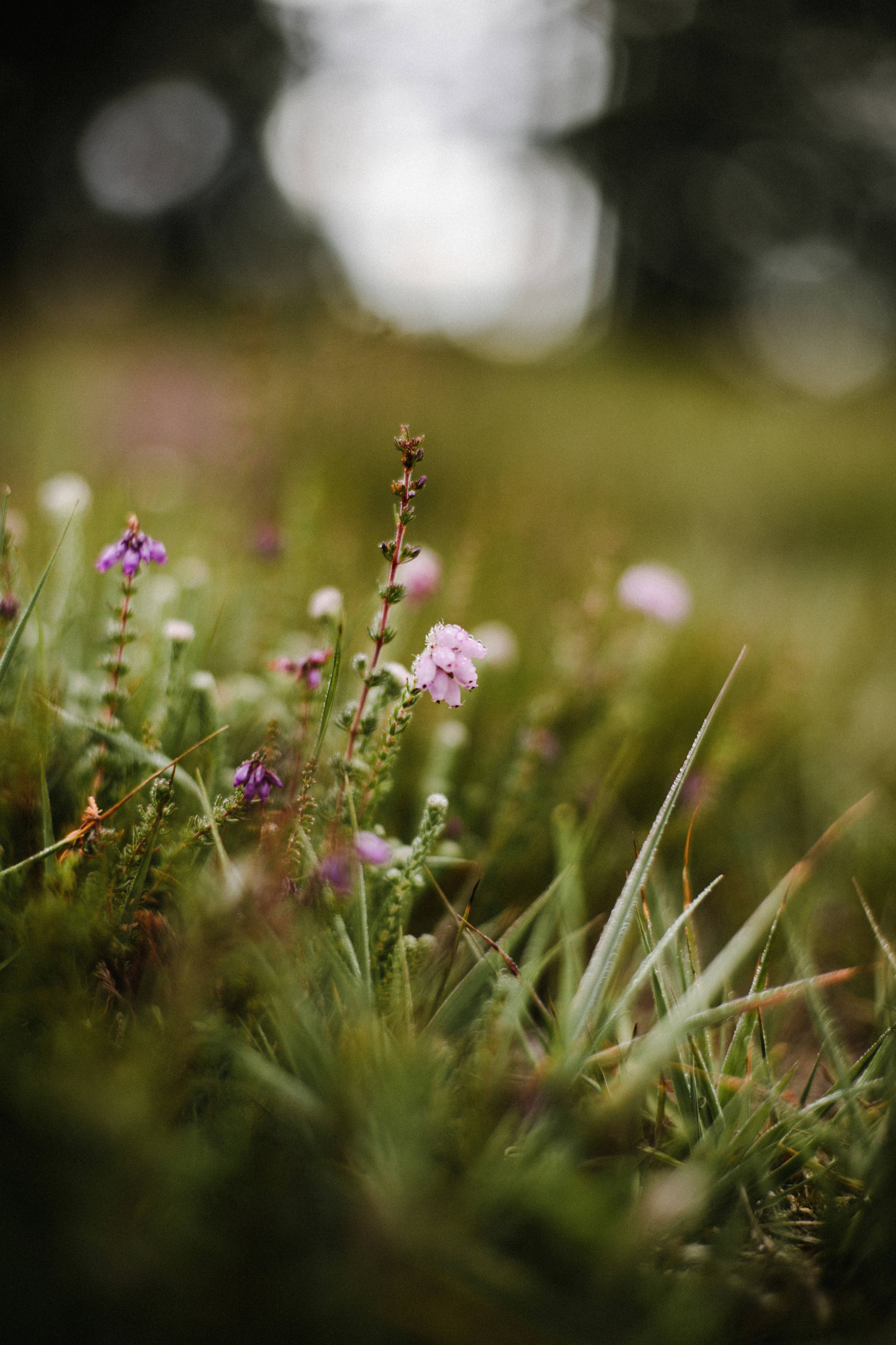 Photo by anniespratt