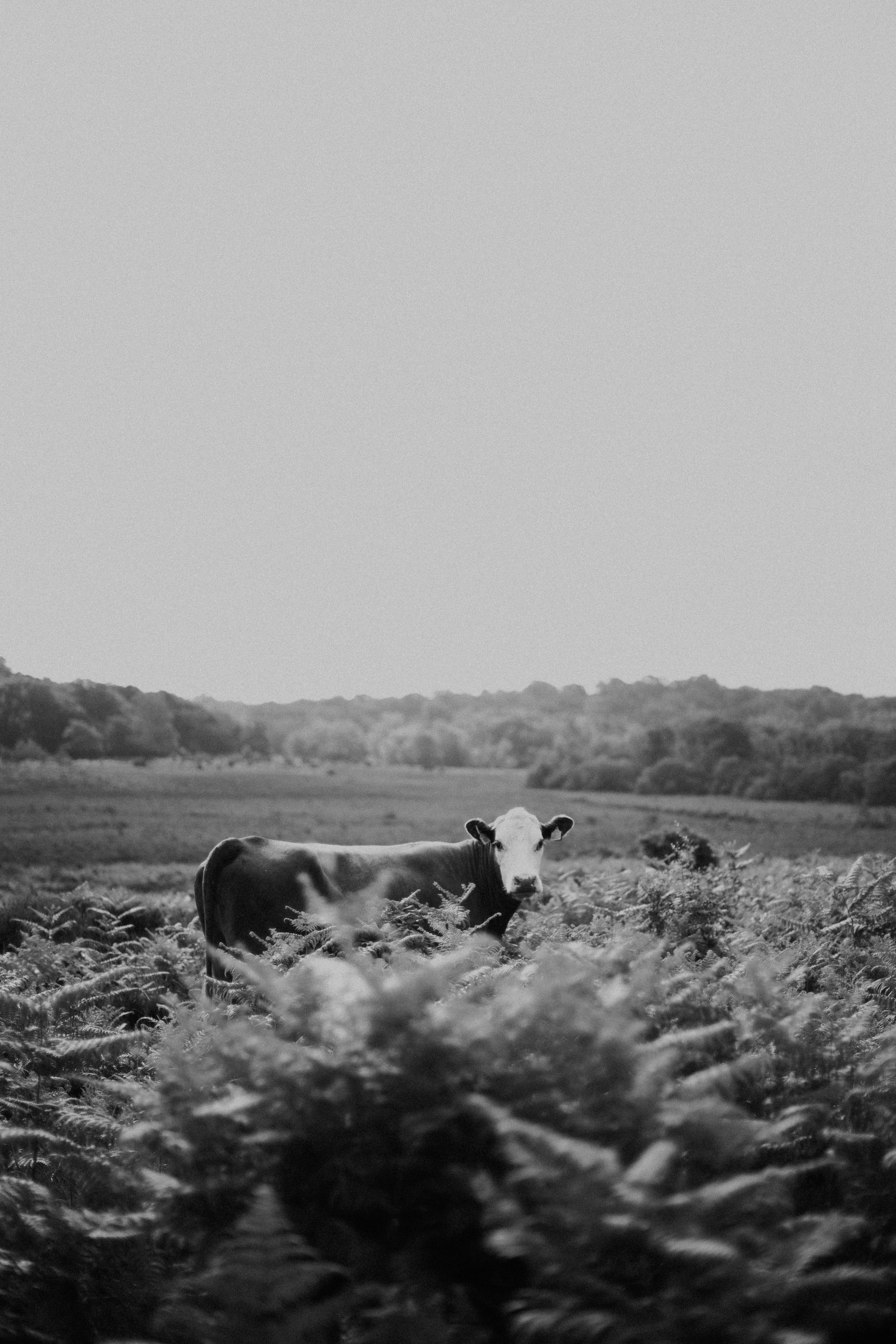 Photo by anniespratt