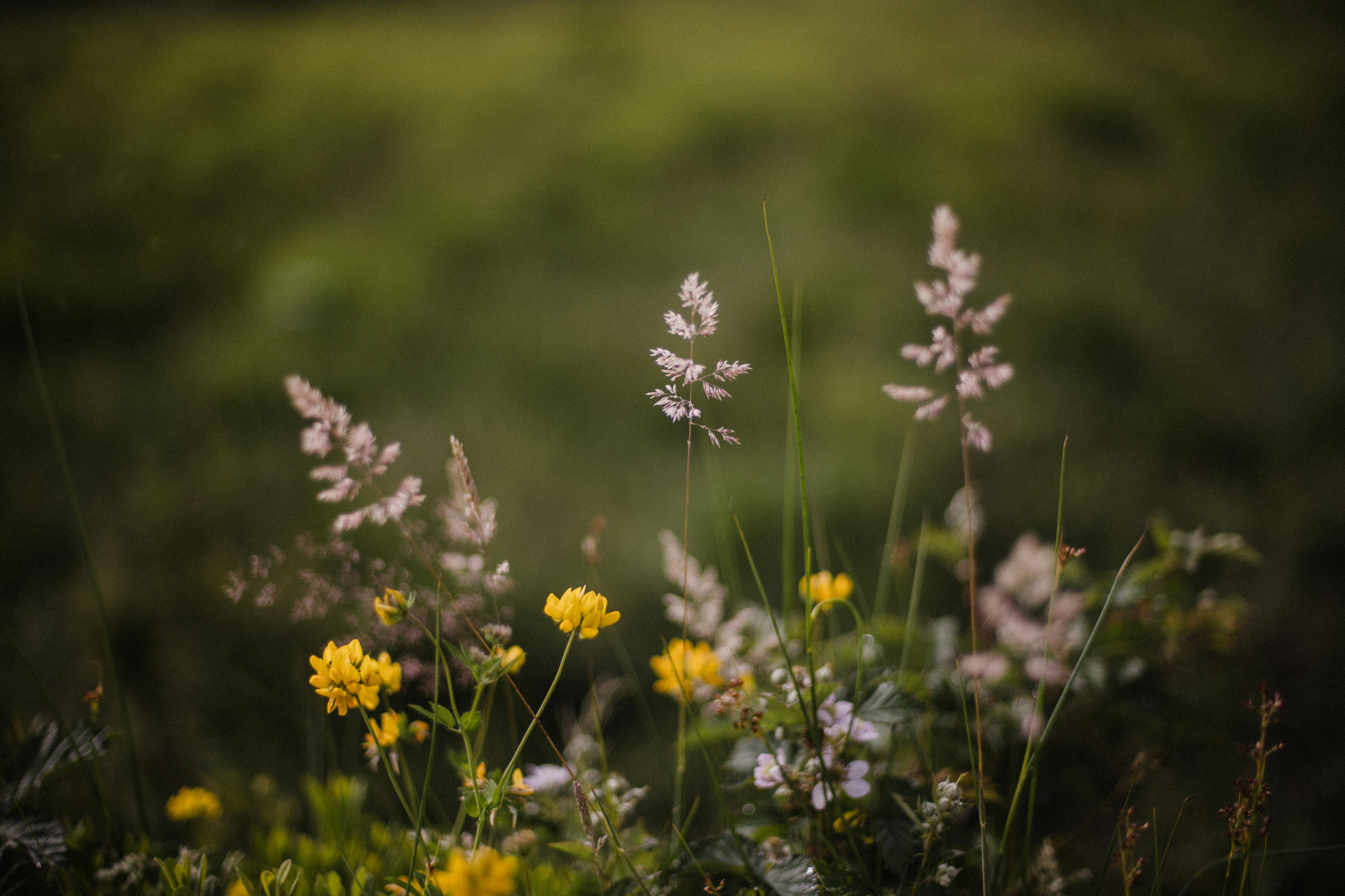 Photo by anniespratt