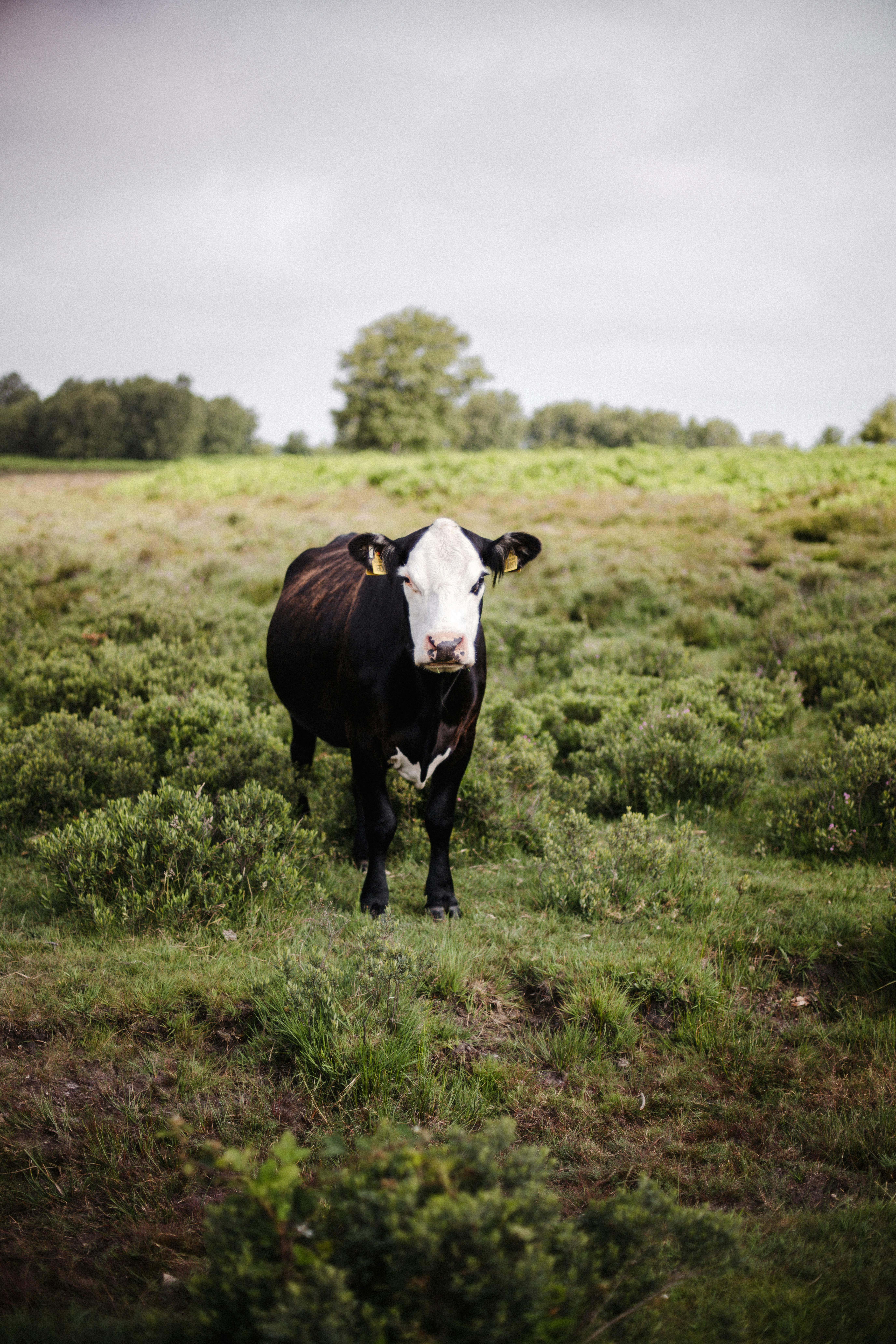 Photo by anniespratt