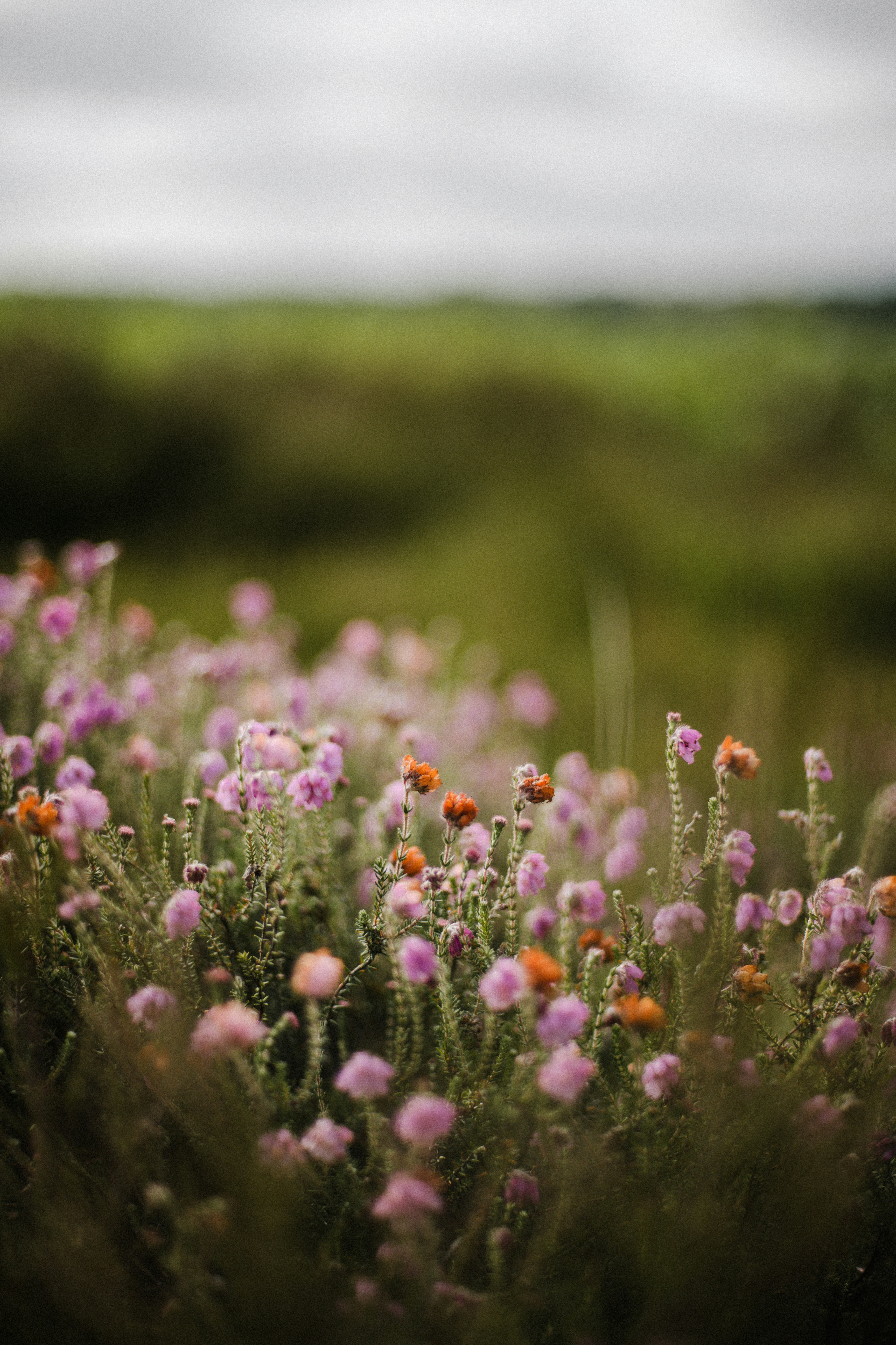 Photo by anniespratt