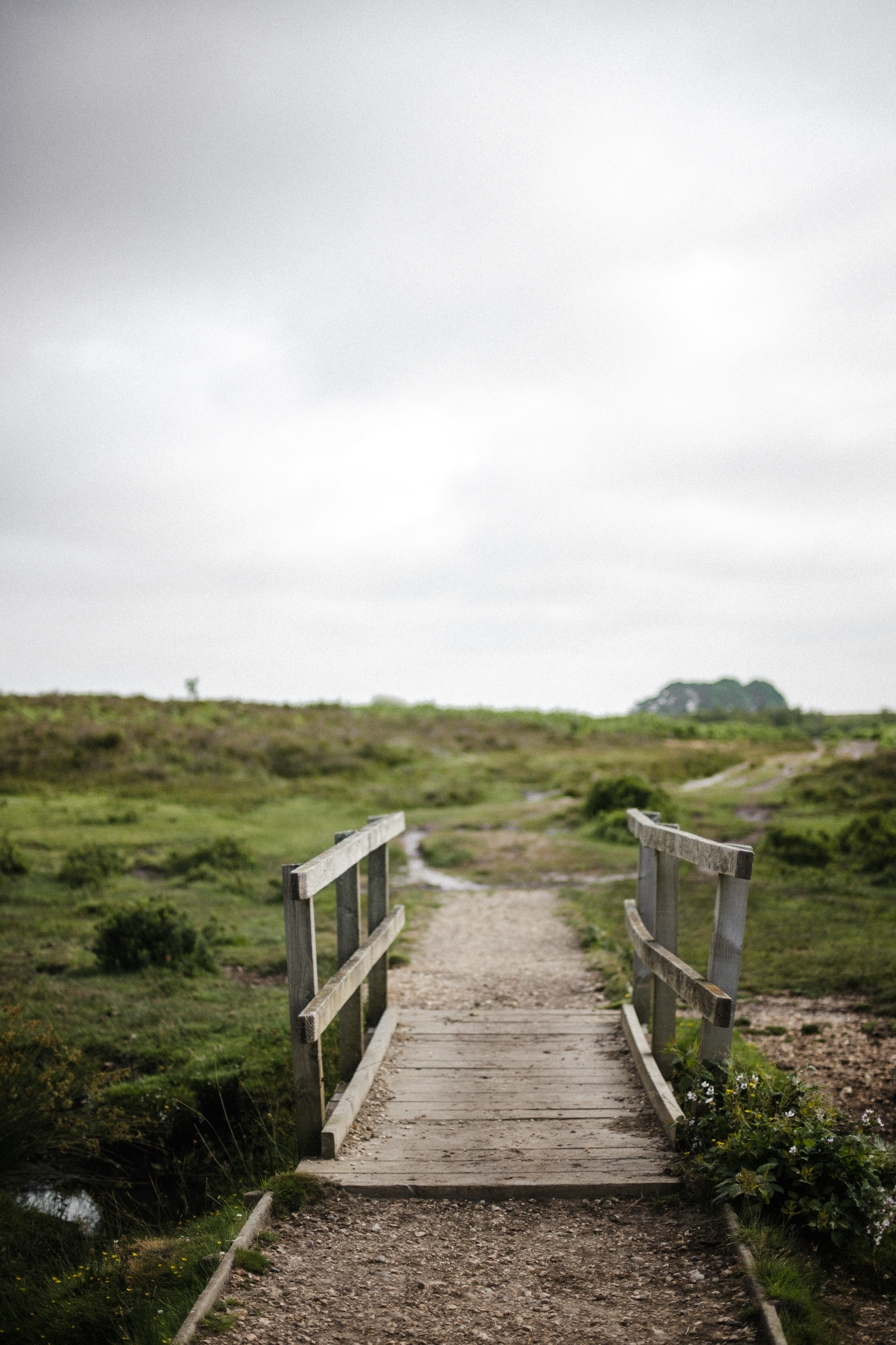 小川にかかる木の橋 森の中の小さな小川にかかる小さな木の橋 写真背景 無料