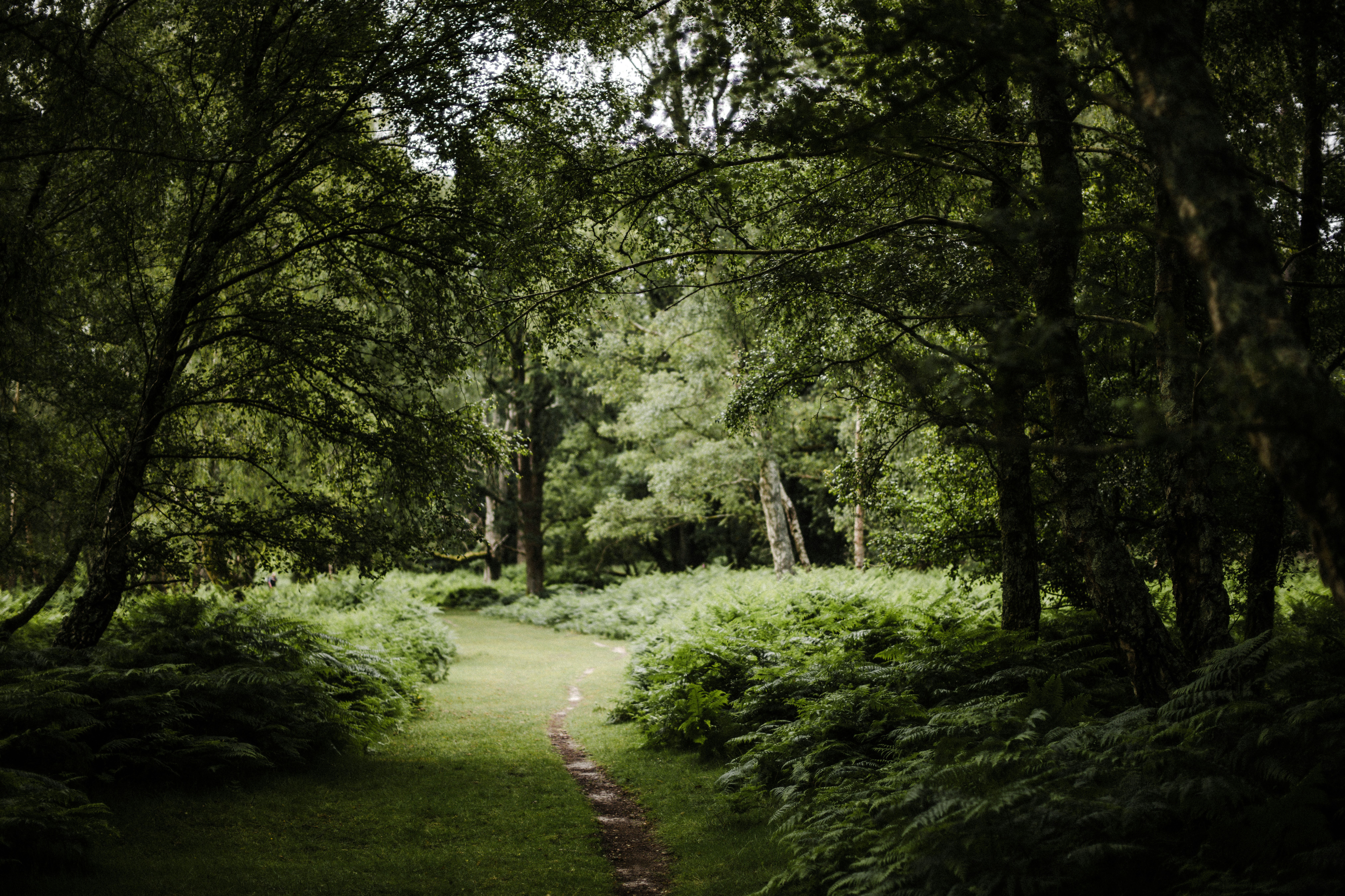 Photo by anniespratt