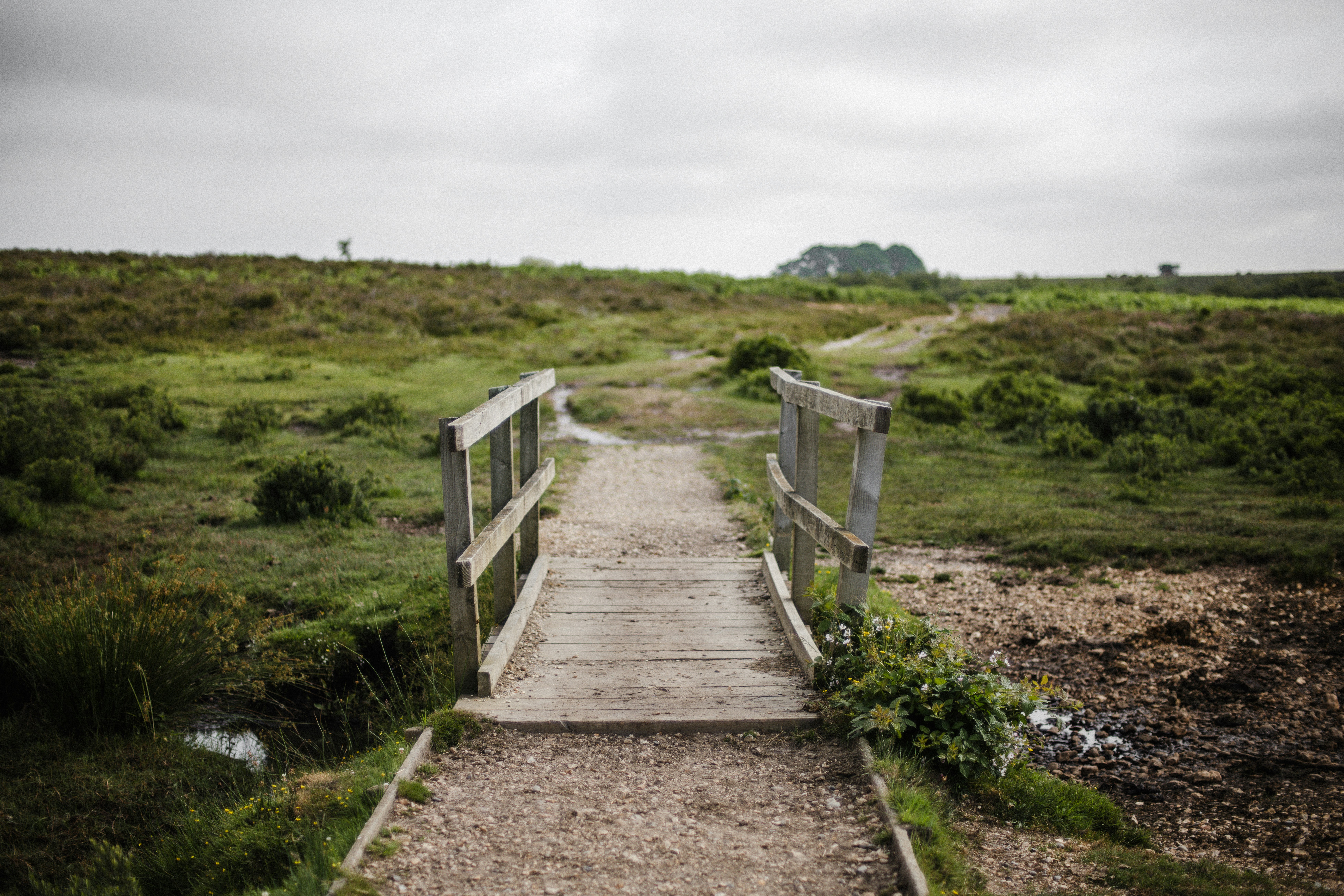 Photo by anniespratt