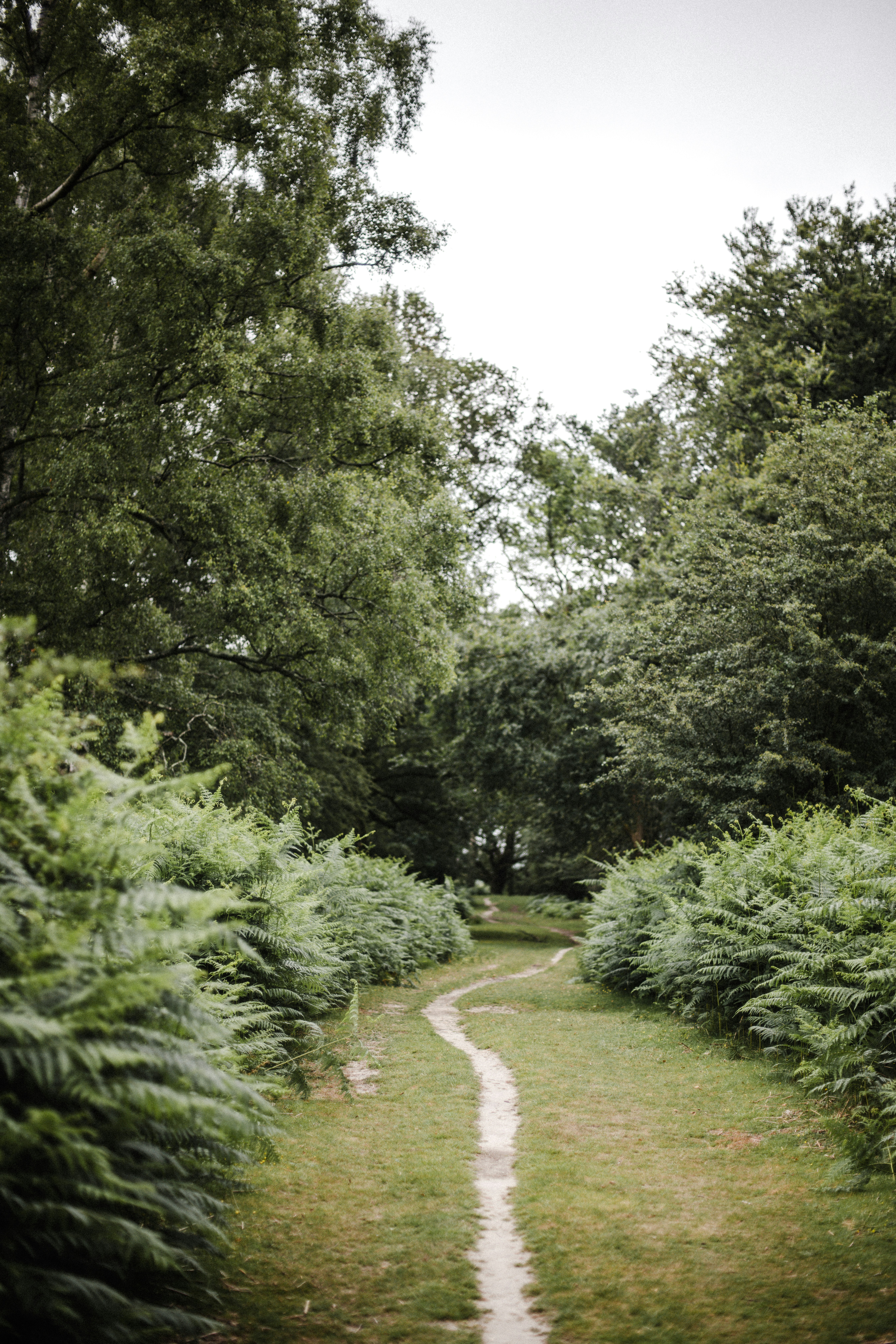 Photo by anniespratt