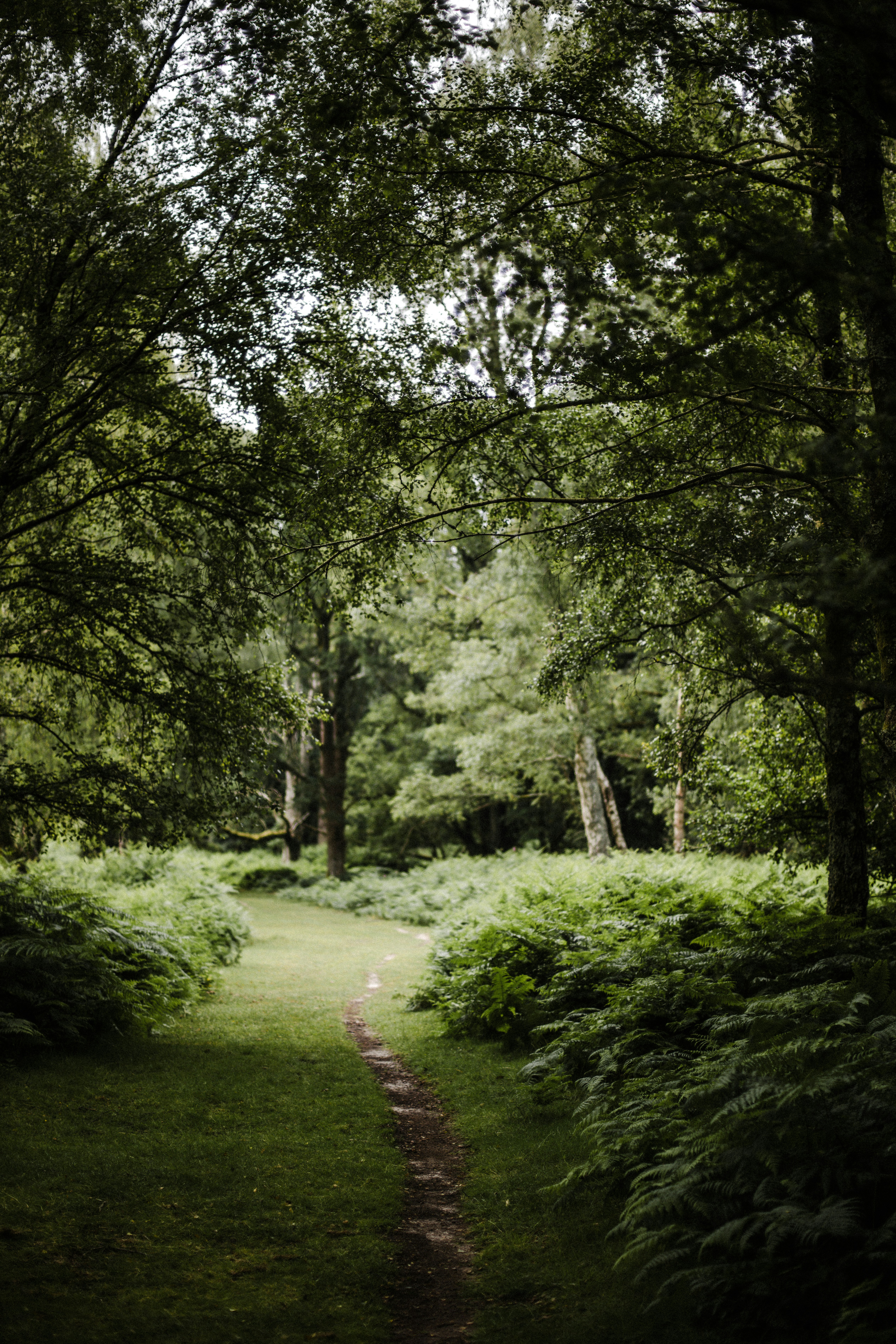 Photo by anniespratt