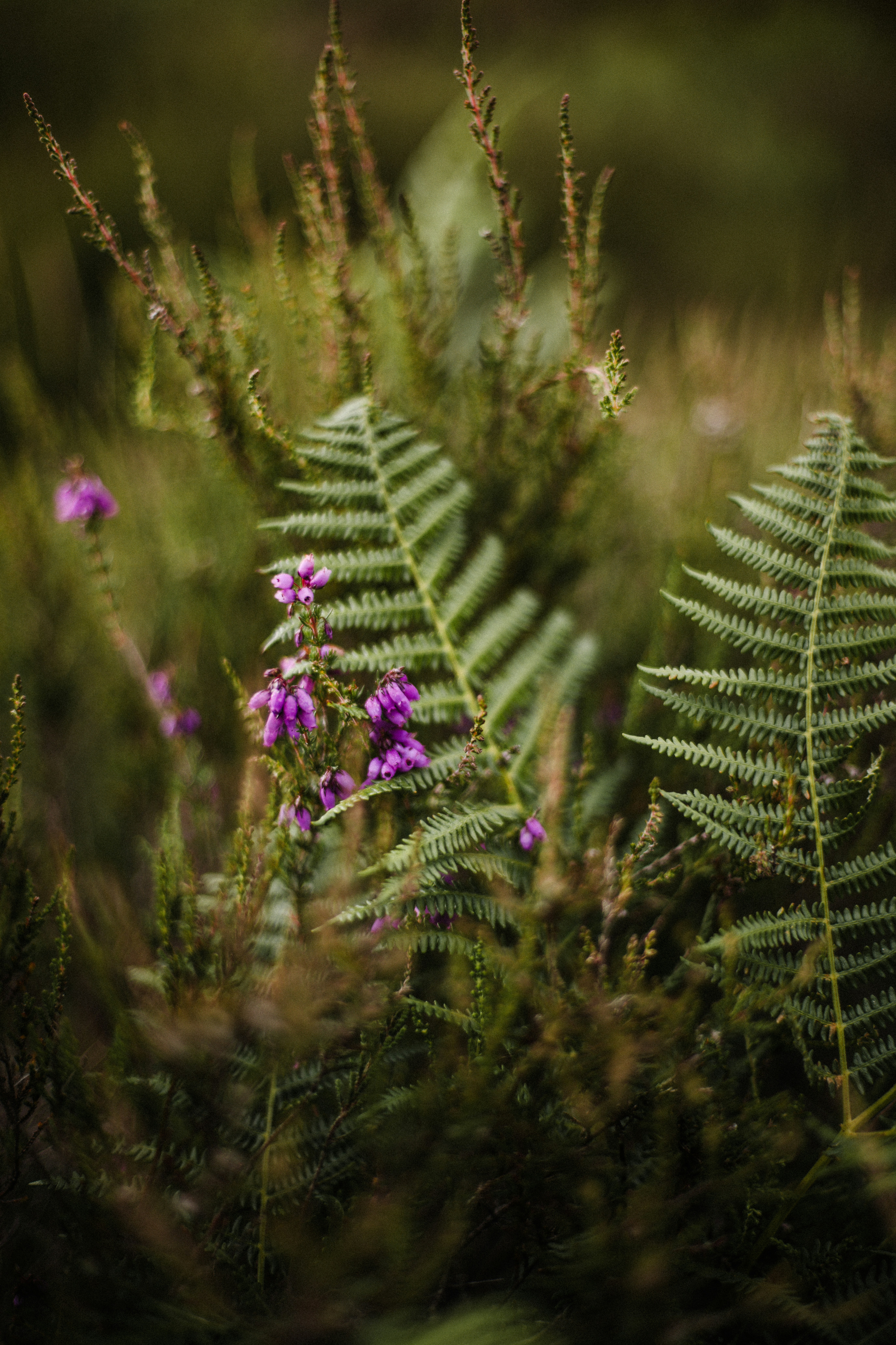 Photo by anniespratt