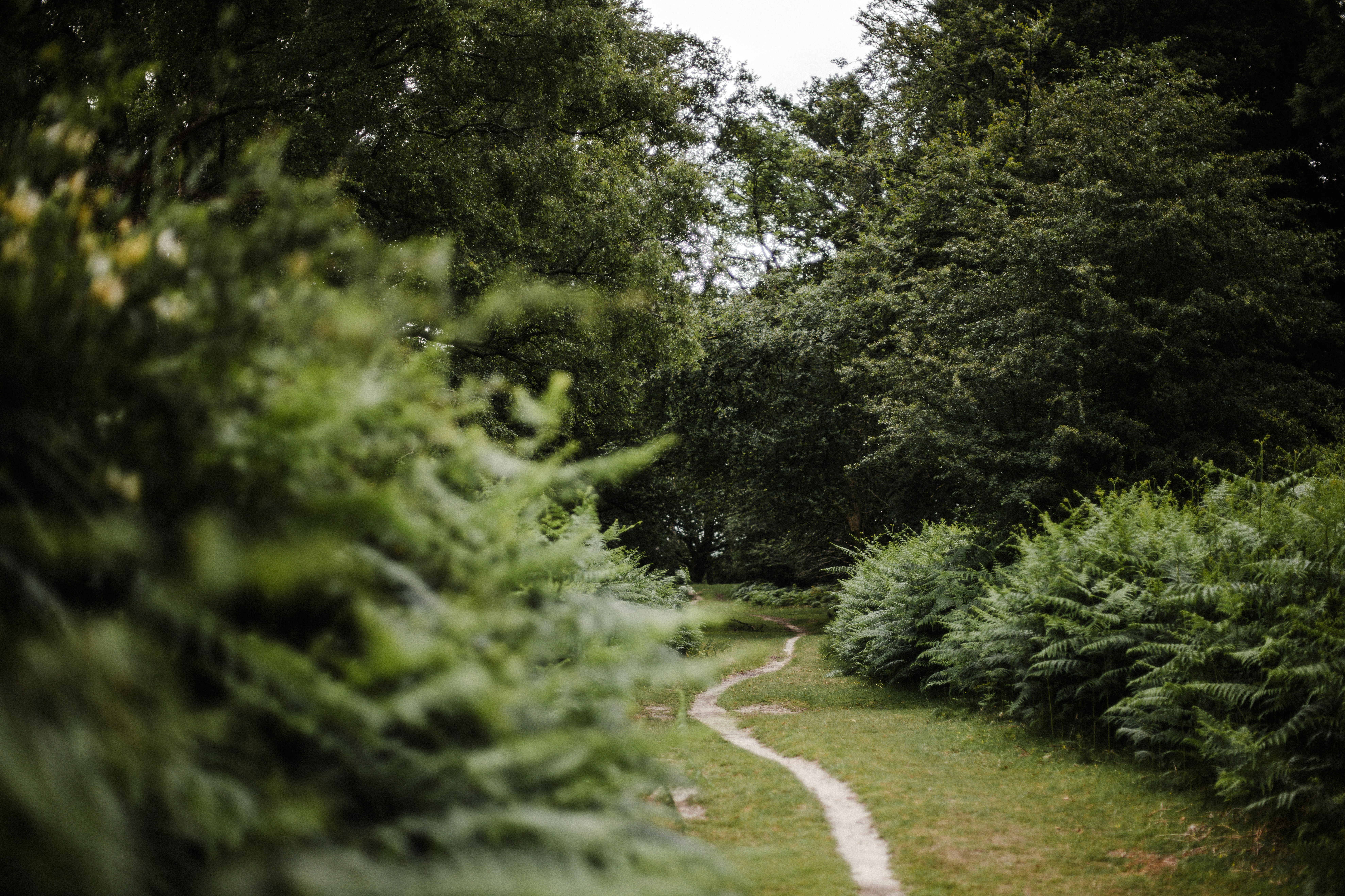 Photo by anniespratt