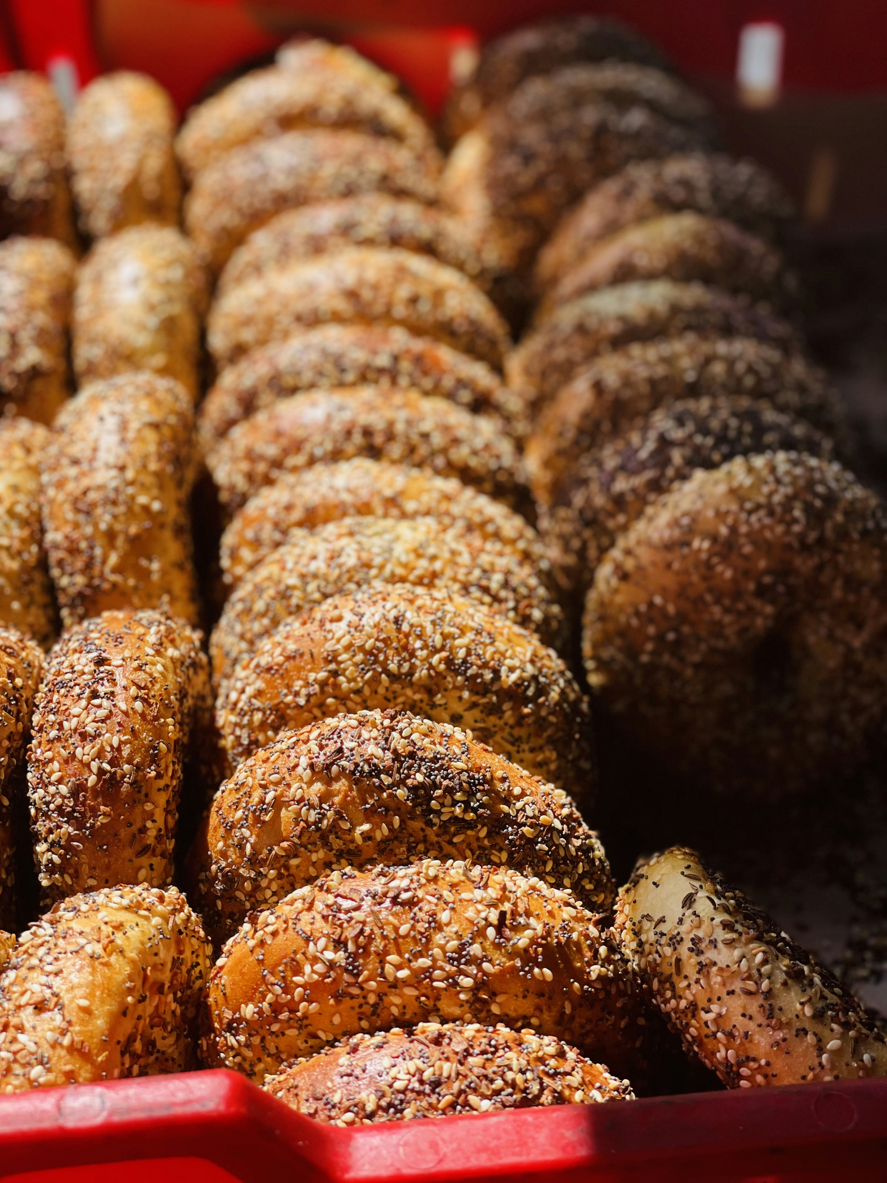 Photo by german_girl22