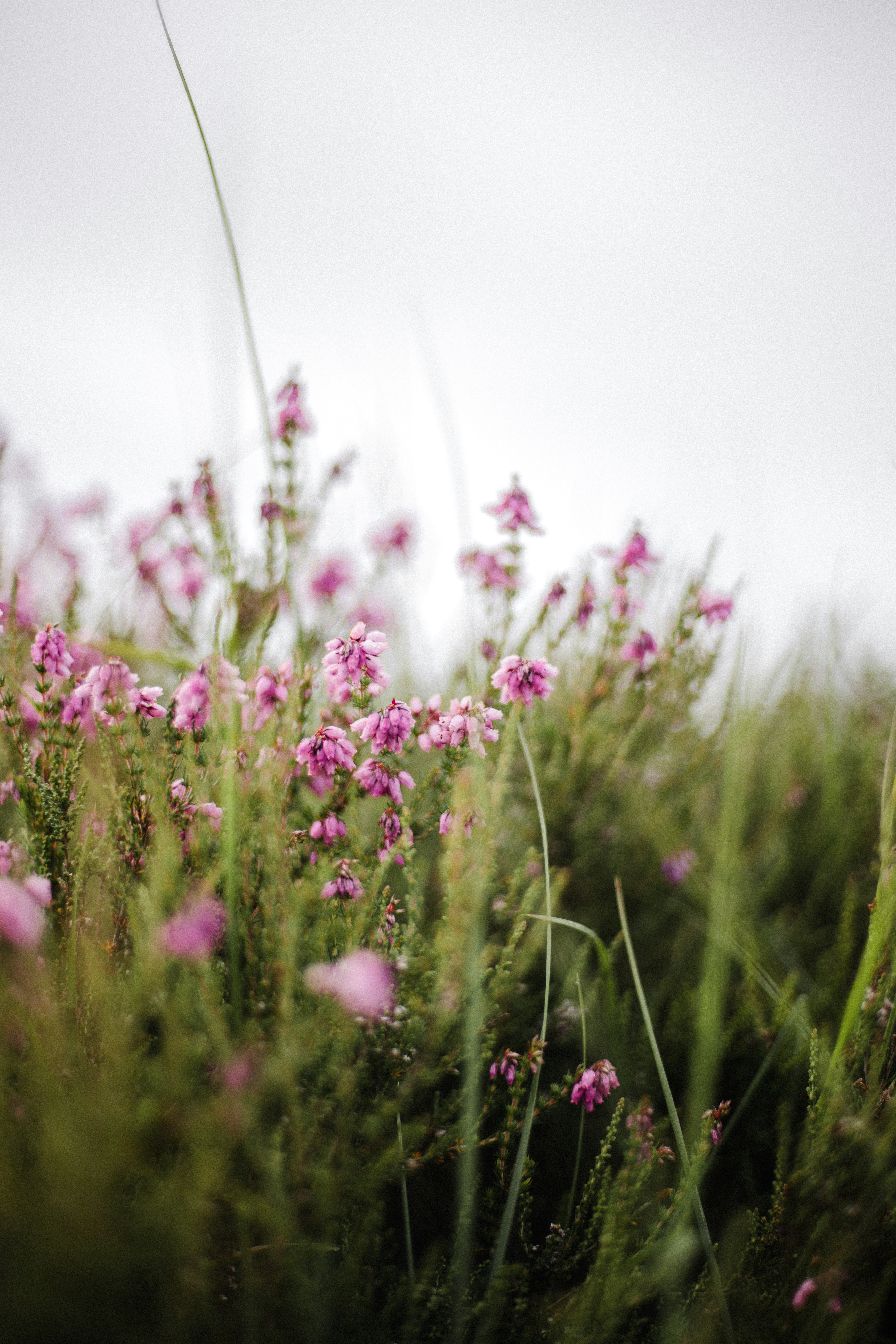 Photo by anniespratt