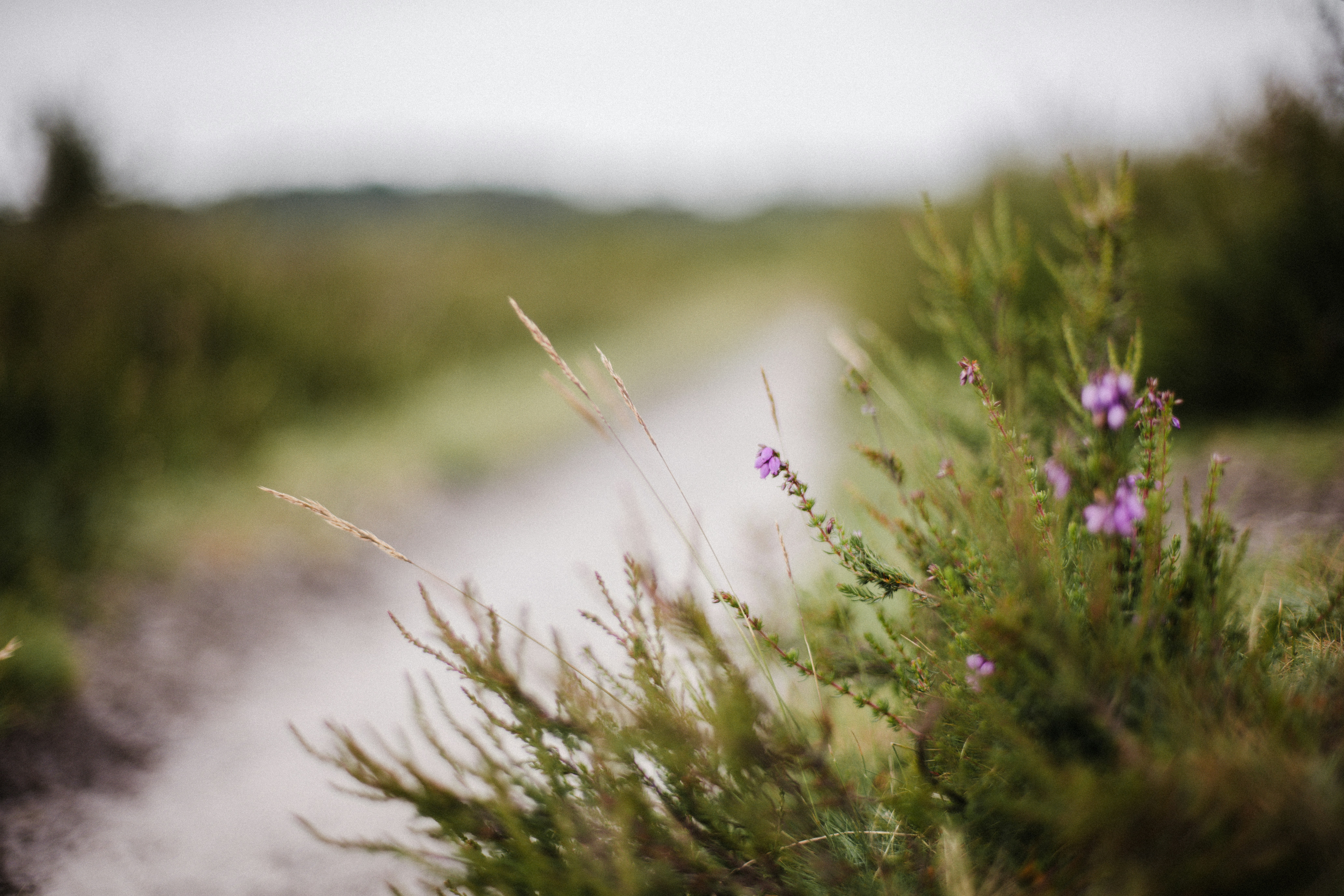 Photo by anniespratt